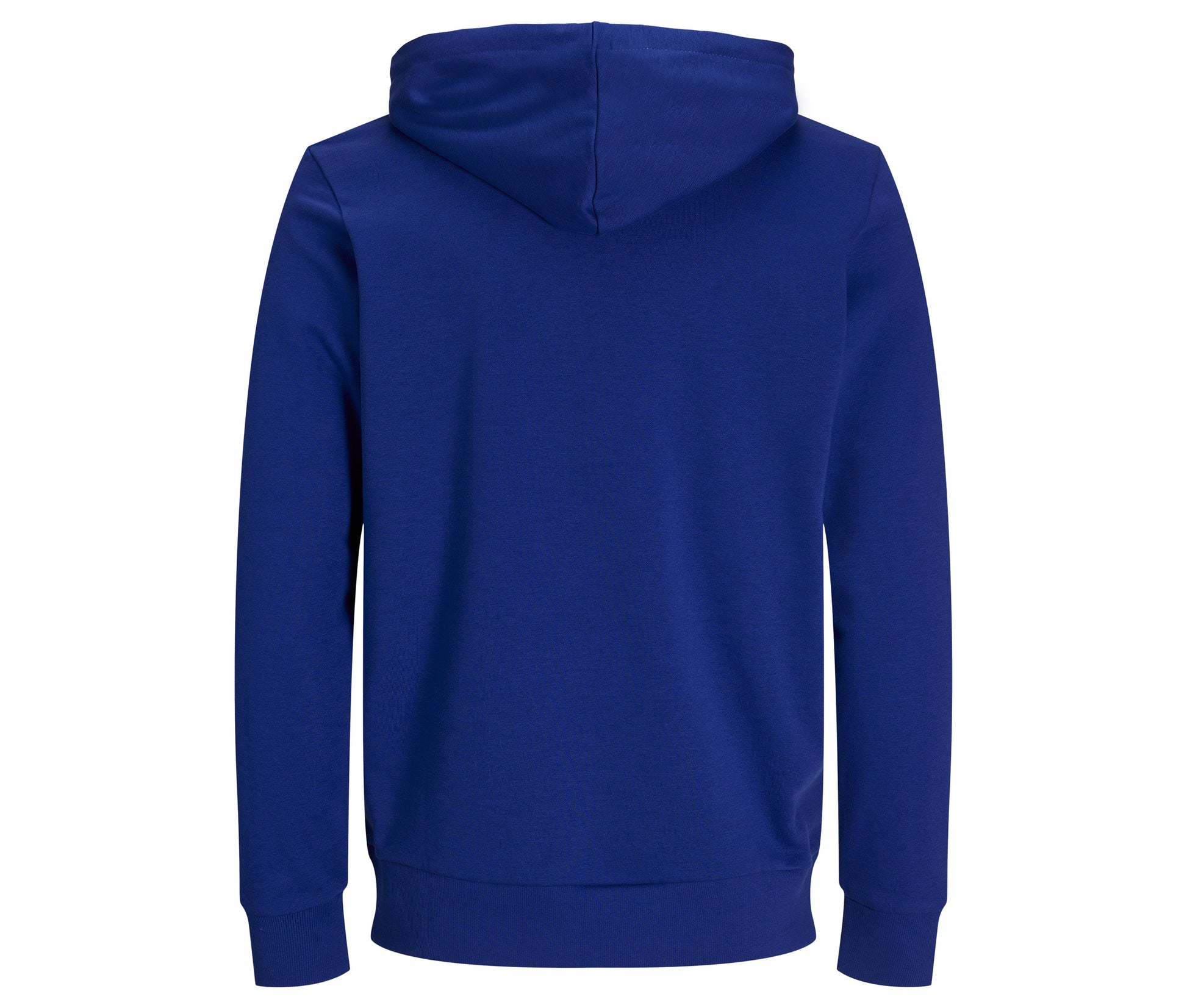 Sweat à Capuche Unisexe - Surf the Web Blue