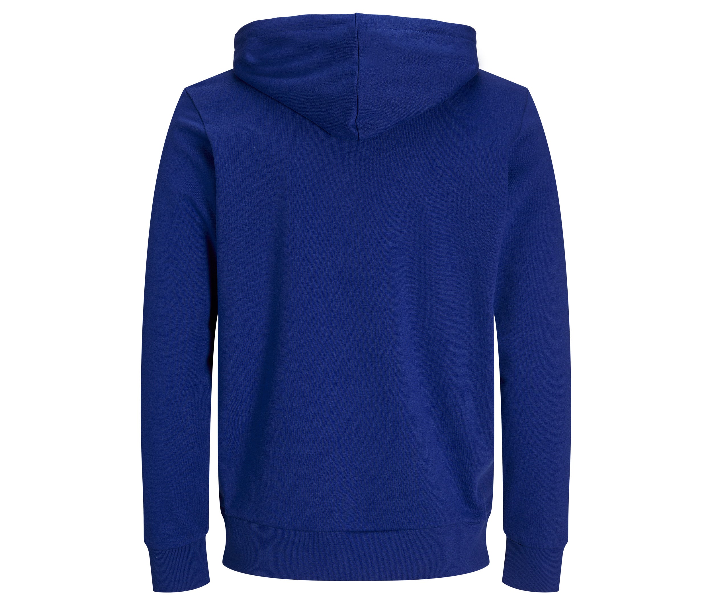 Sweat à Capuche Unisexe - Surf the Web Blue