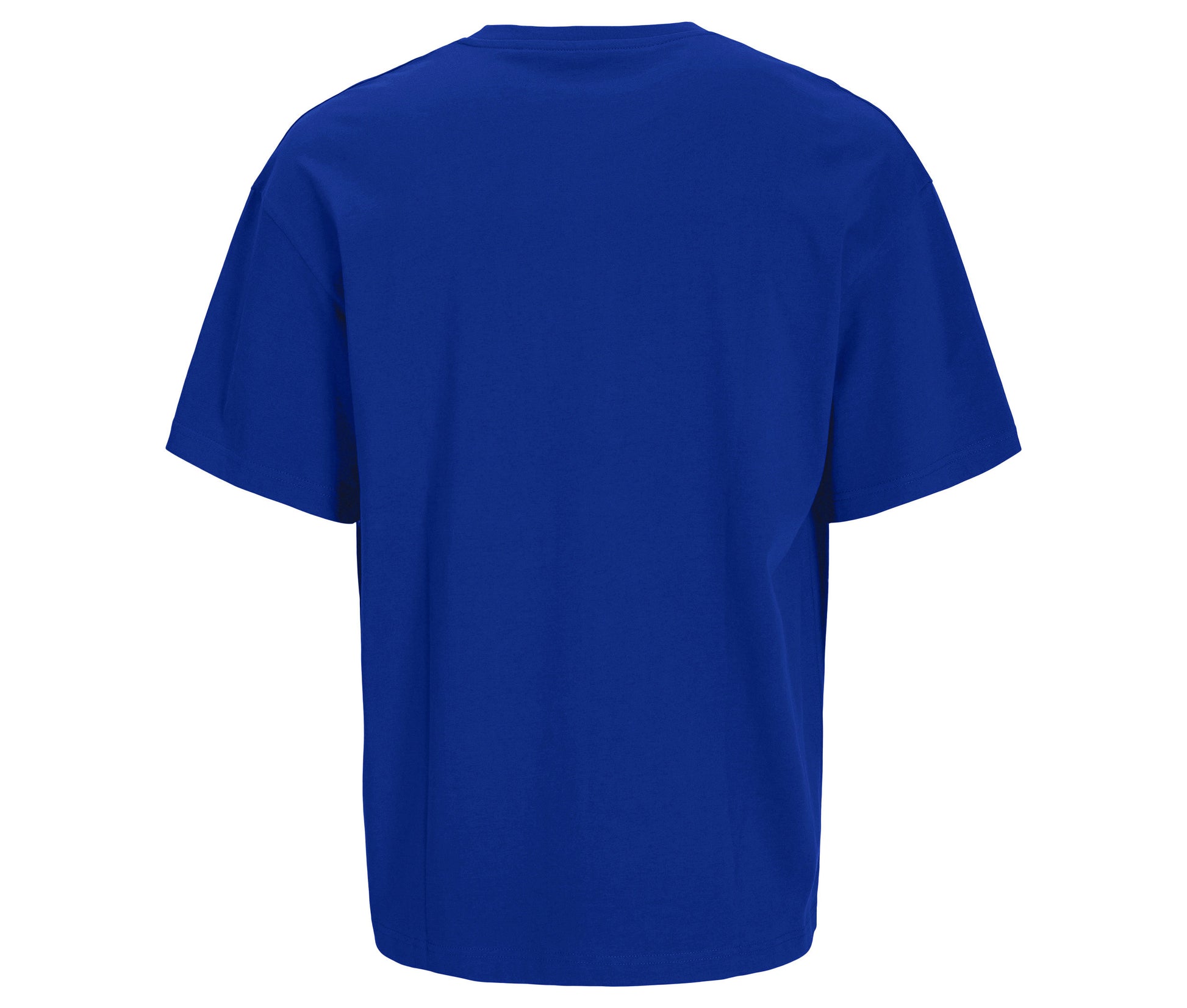 Tee-Shirt Unisexe Oversize en Coton Organique - Surf the Web Blue