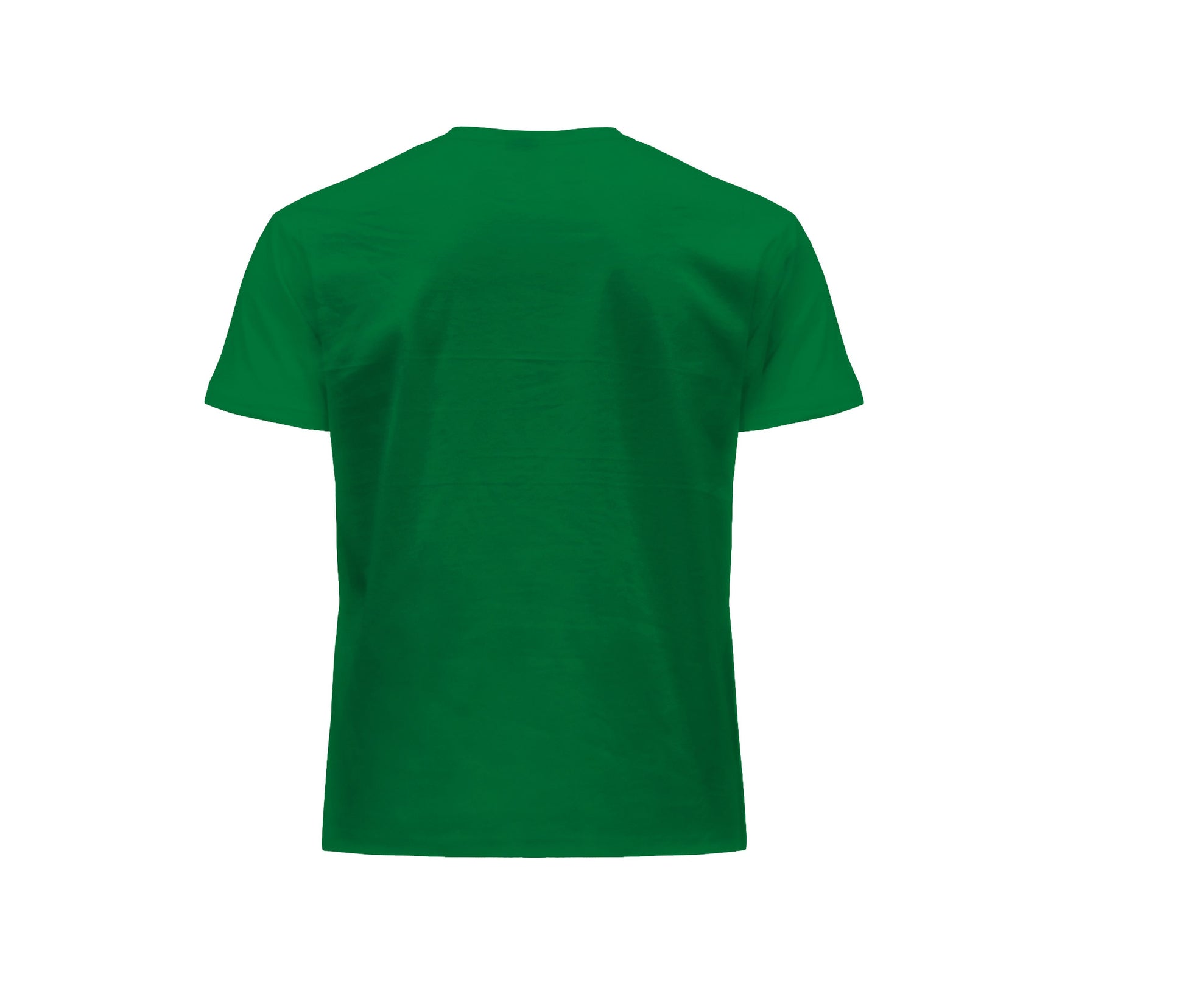 Tee-Shirt Homme Col Rond 155 - Kelly Green
