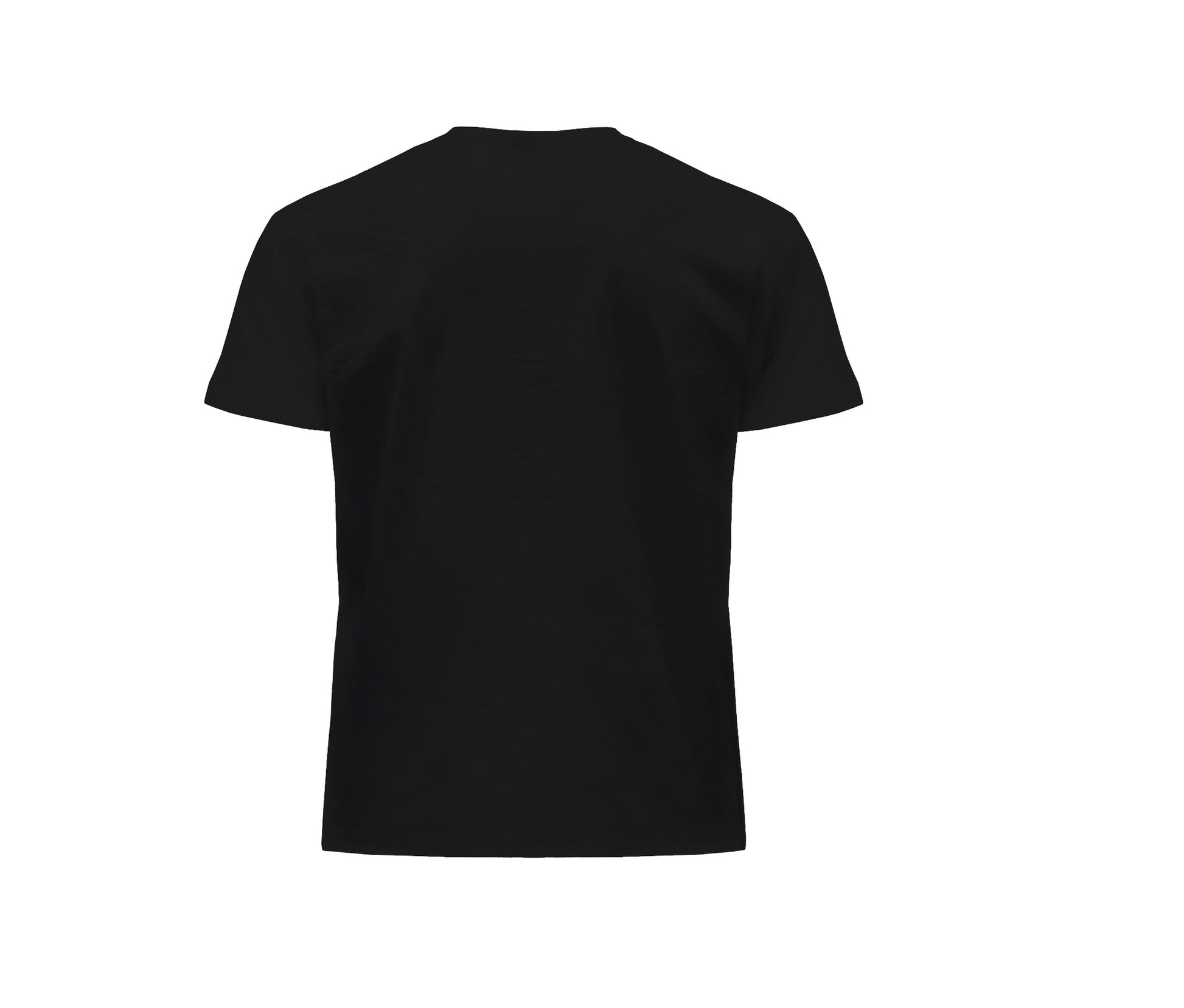 Tee-Shirt Col Rond 170 - Black