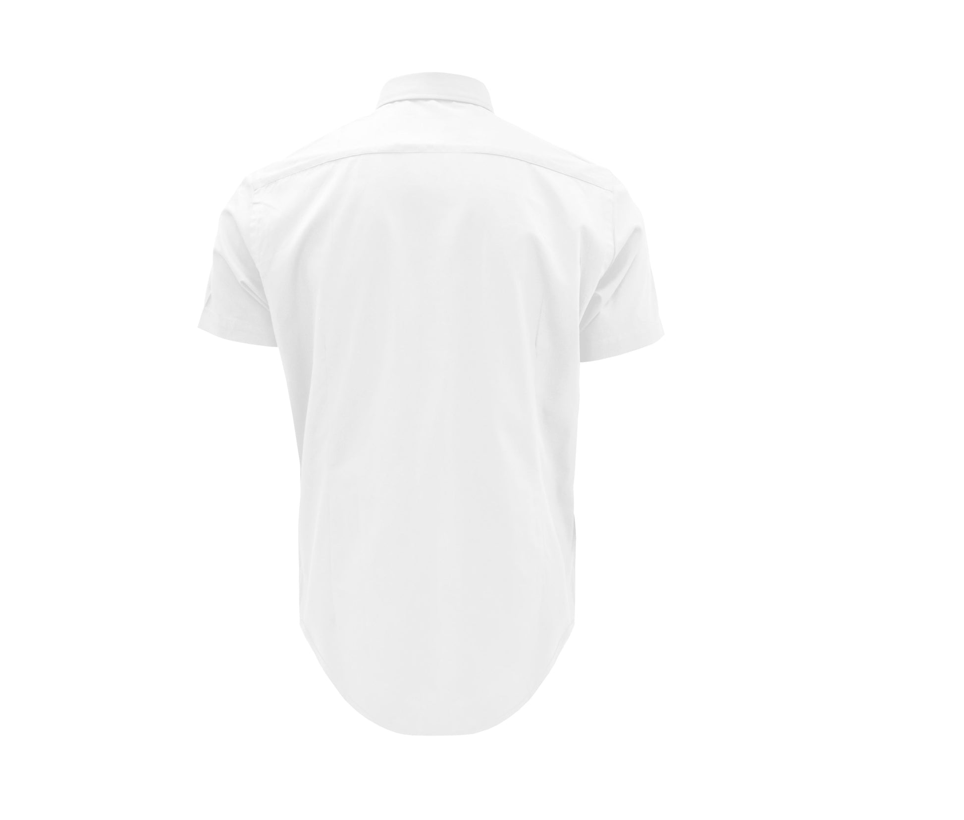 Chemisette Oxford Homme - White