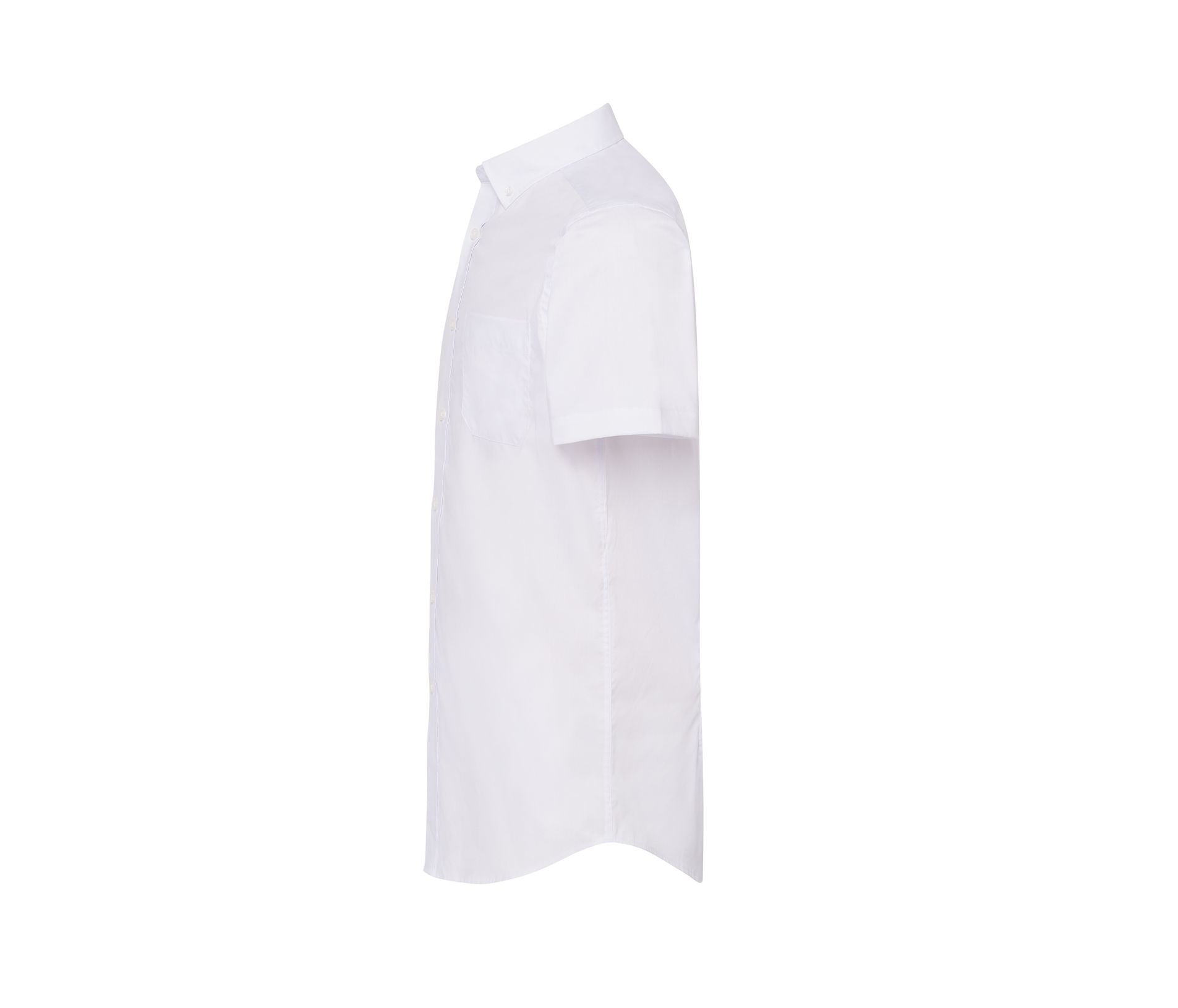 Chemisette Oxford Homme - White