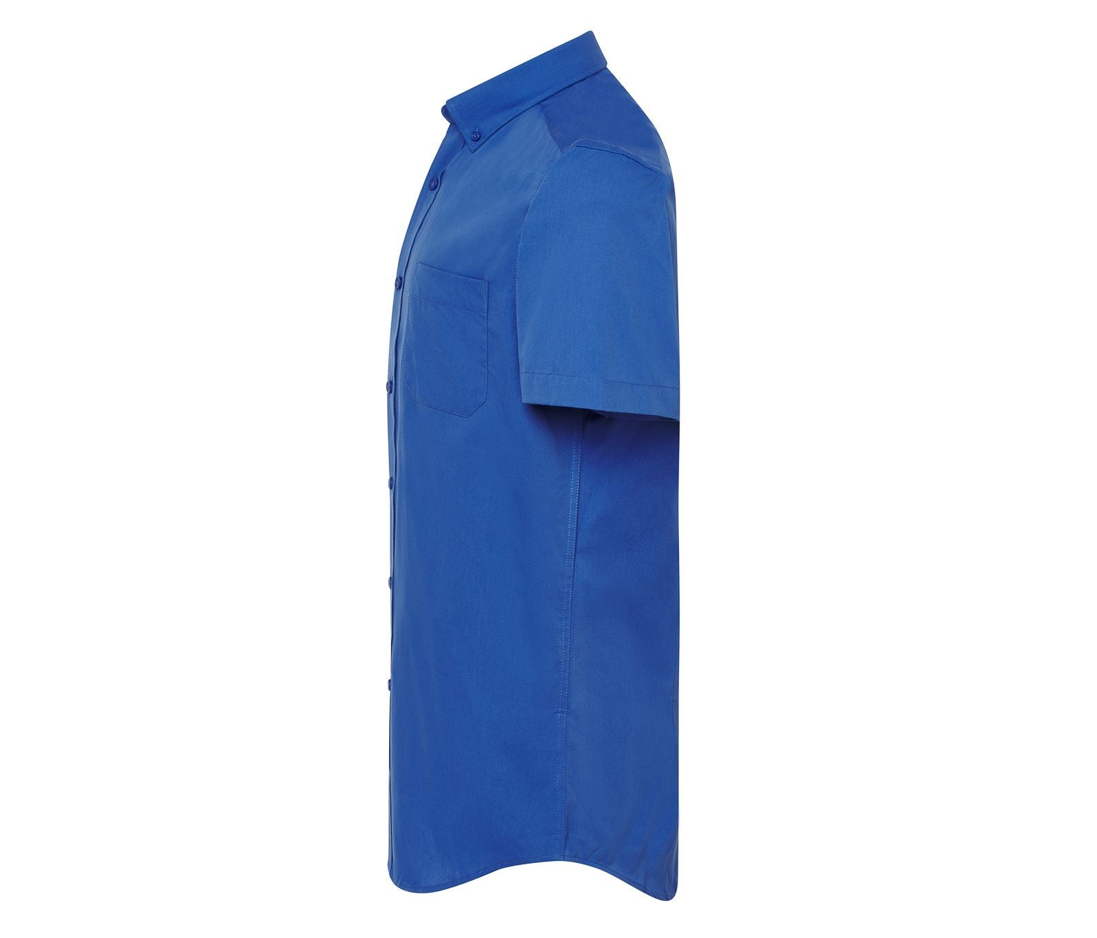 Chemisette Oxford Homme - Royal Blue