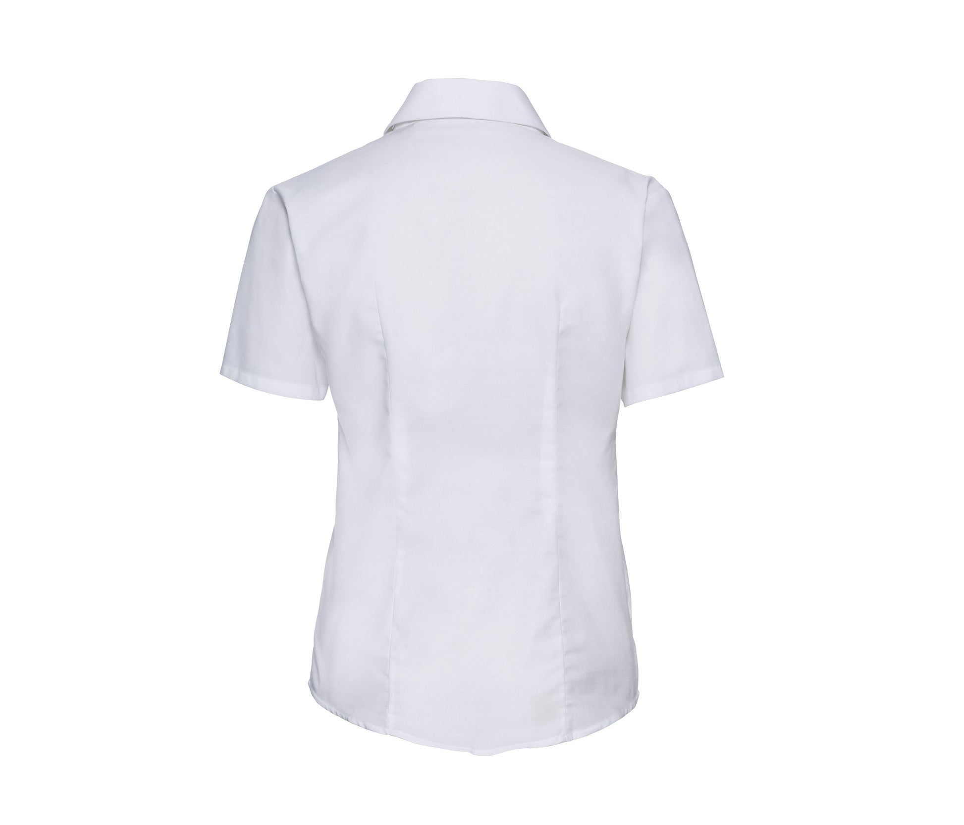 Chemisette Femme Oxford - White