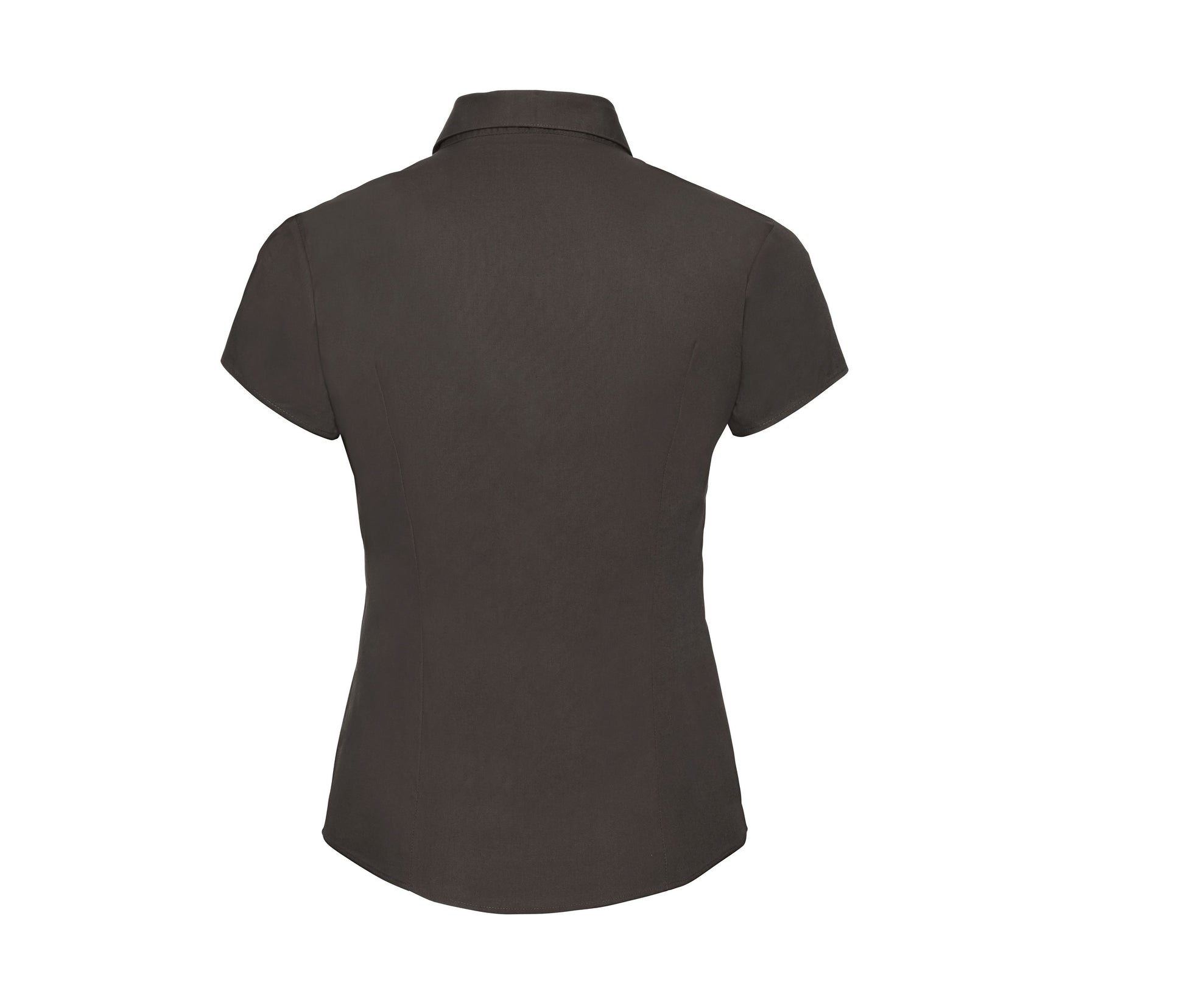 Chemisette Stretch Femme - Chocolate