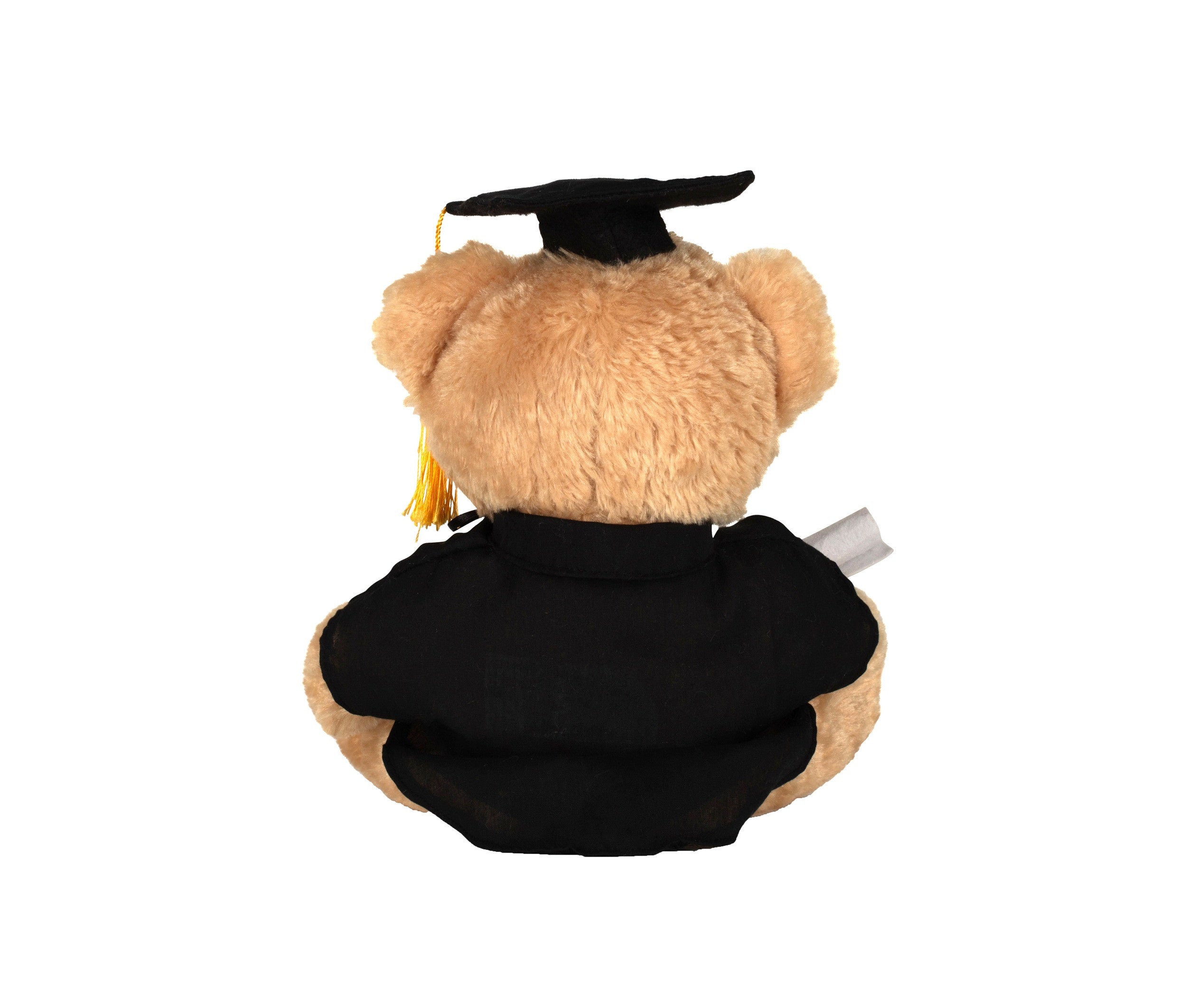Ours en Peluche Diplomé - Brown