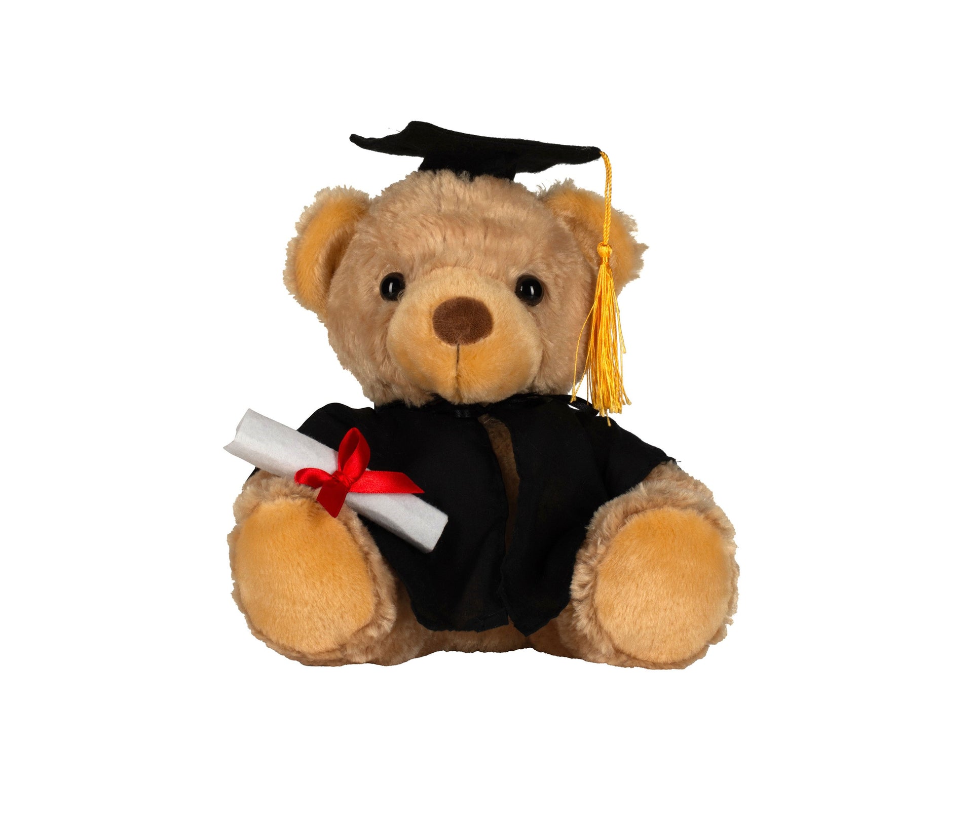 Ours en Peluche Diplomé - Brown