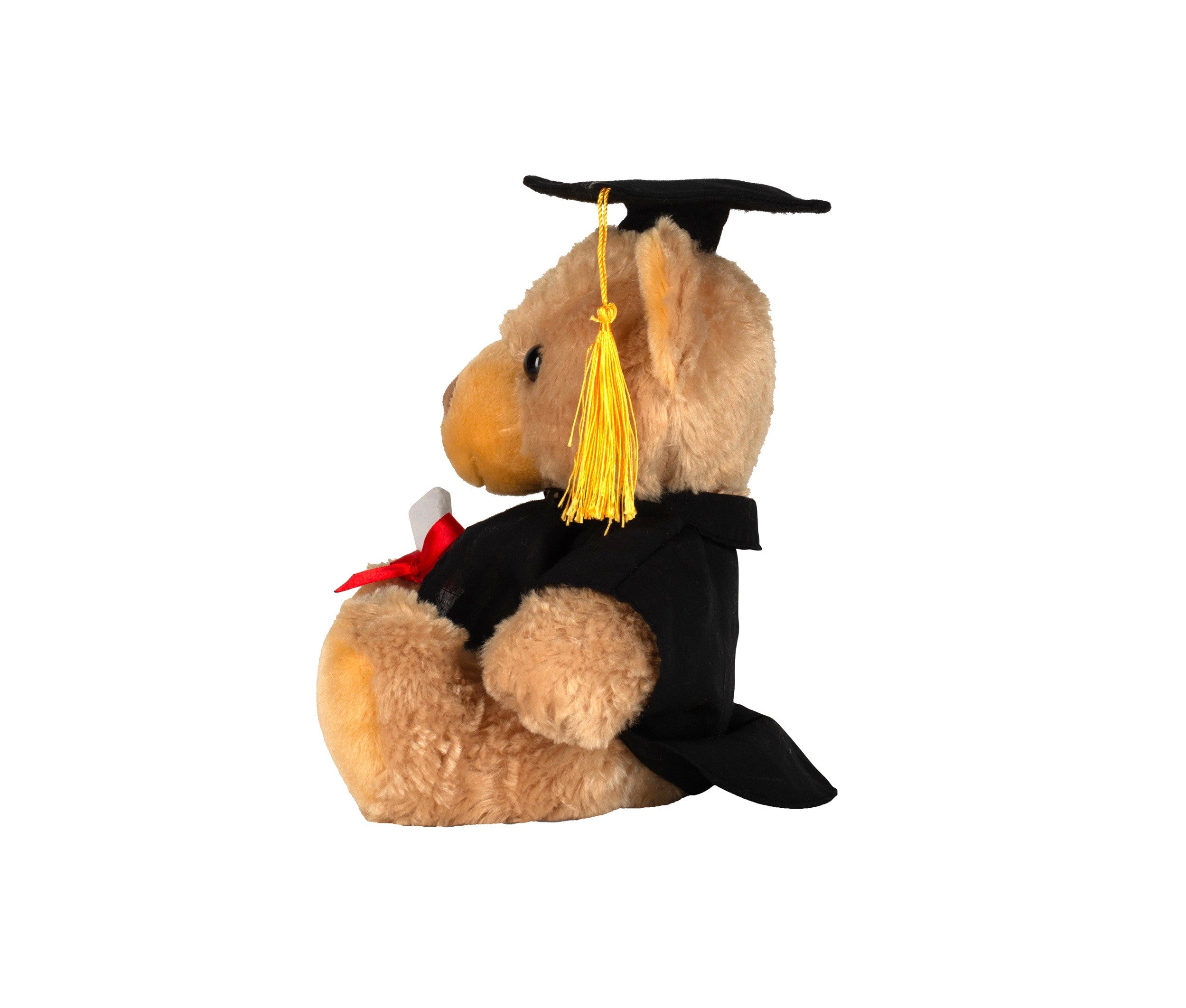Ours en Peluche Diplomé - Brown