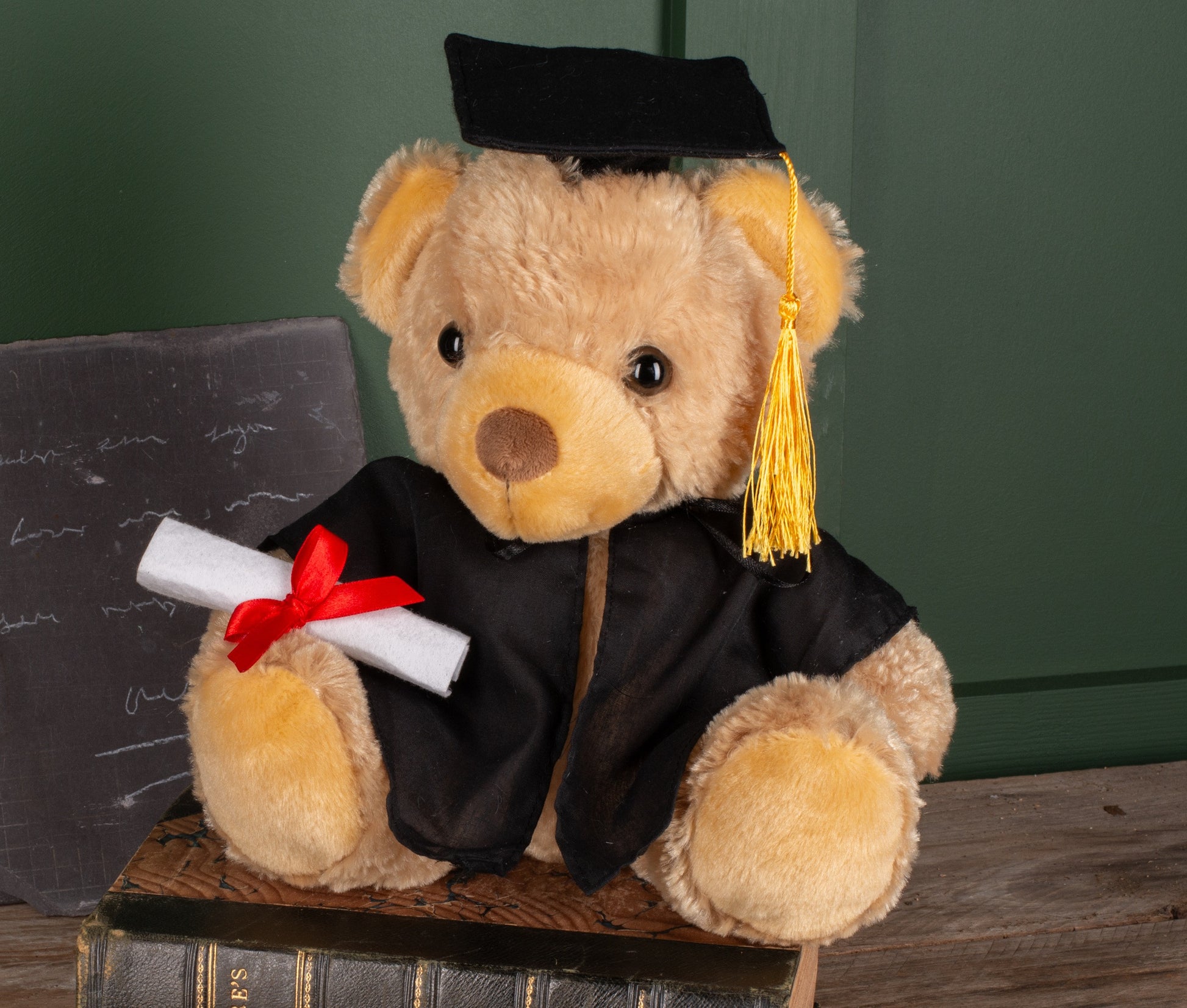 Ours en peluche diplomé
