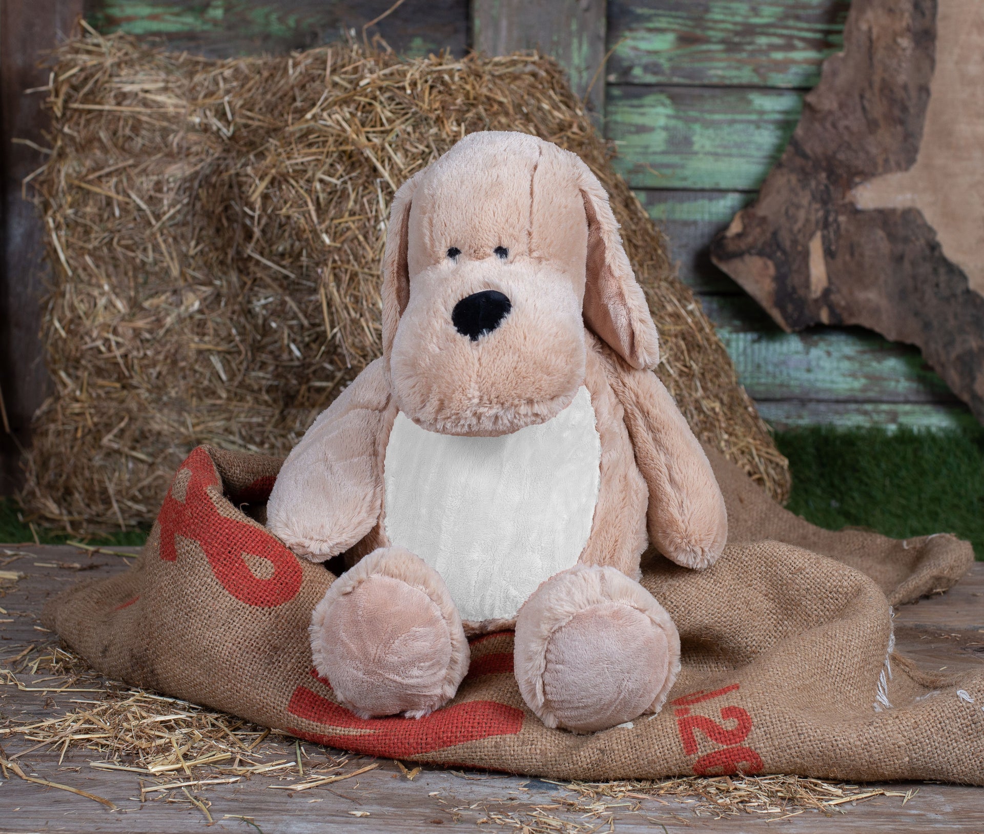 Chien avec ouverture zippée