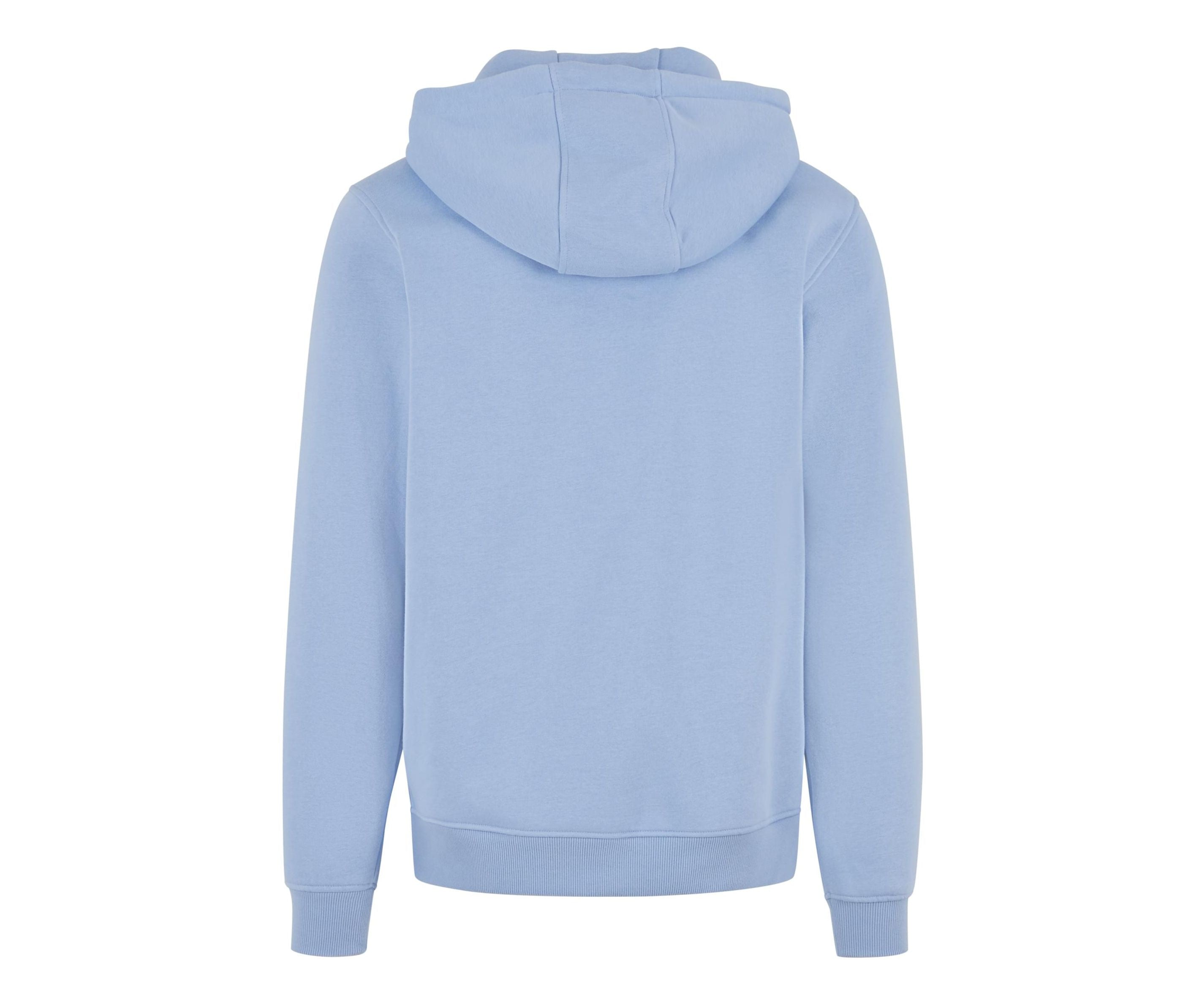 Sweat Capuche Unisexe - Powder Blue