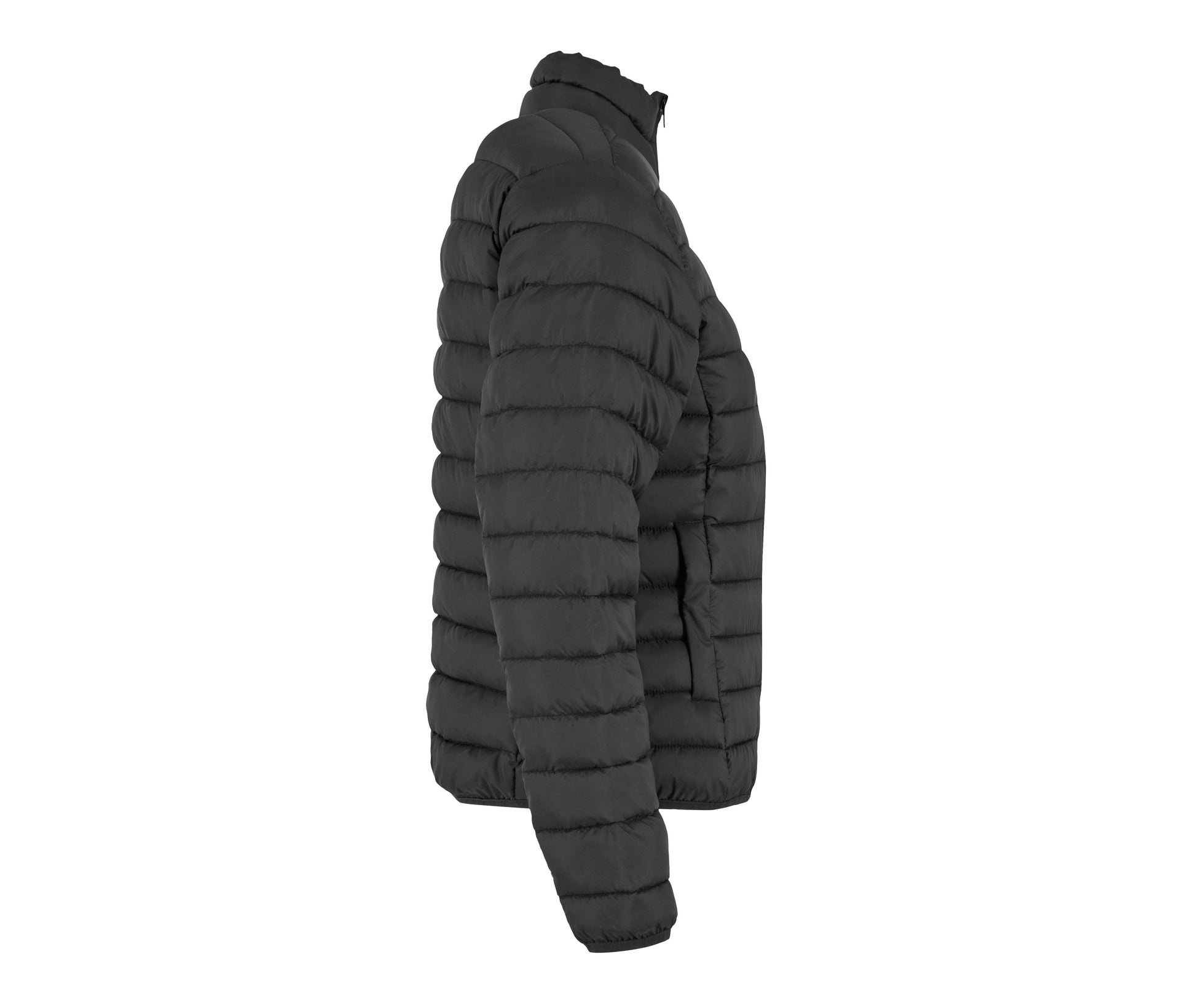 Veste Matelassée Femme - Black