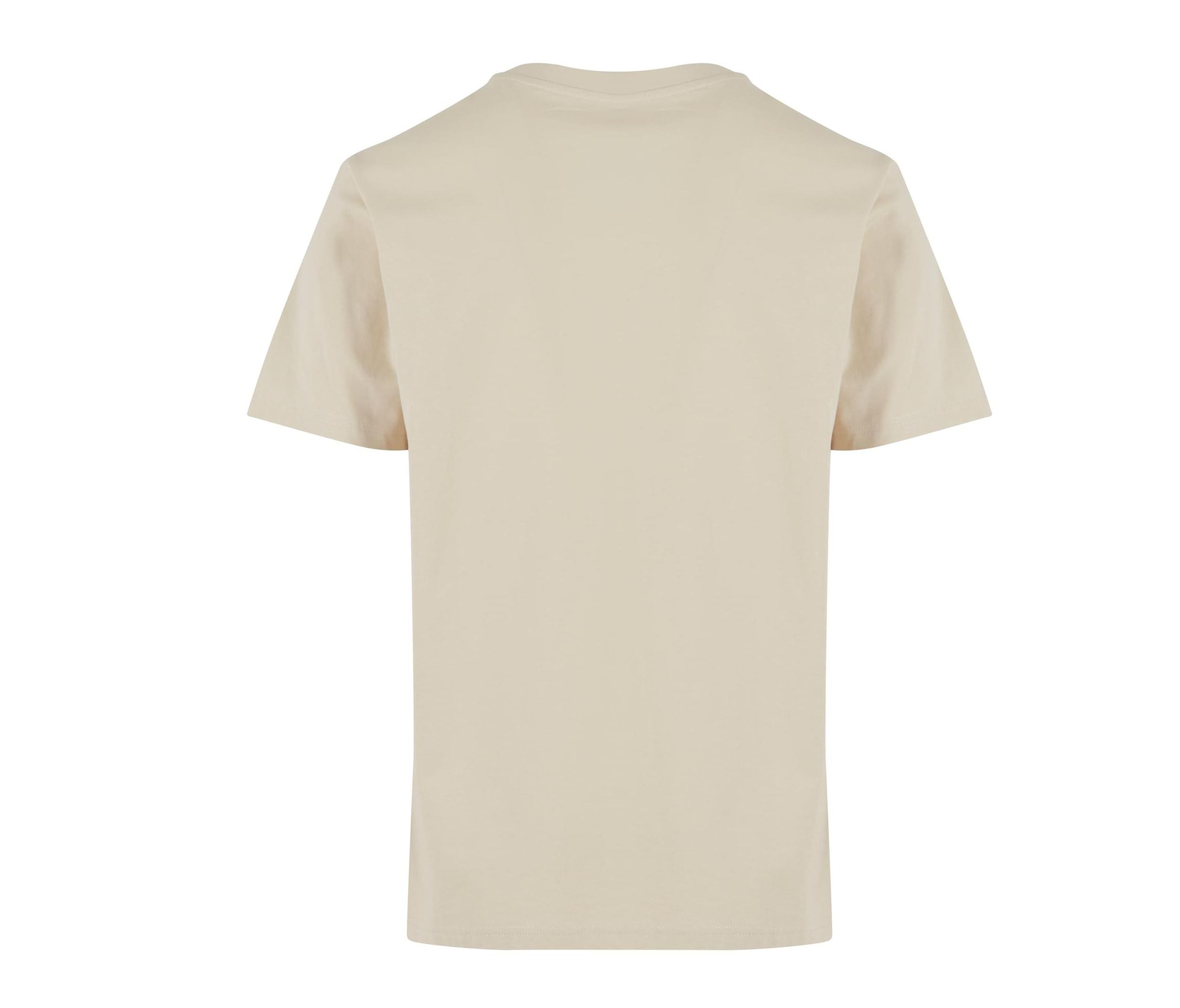 Basic Regular Fit Tee - Sand