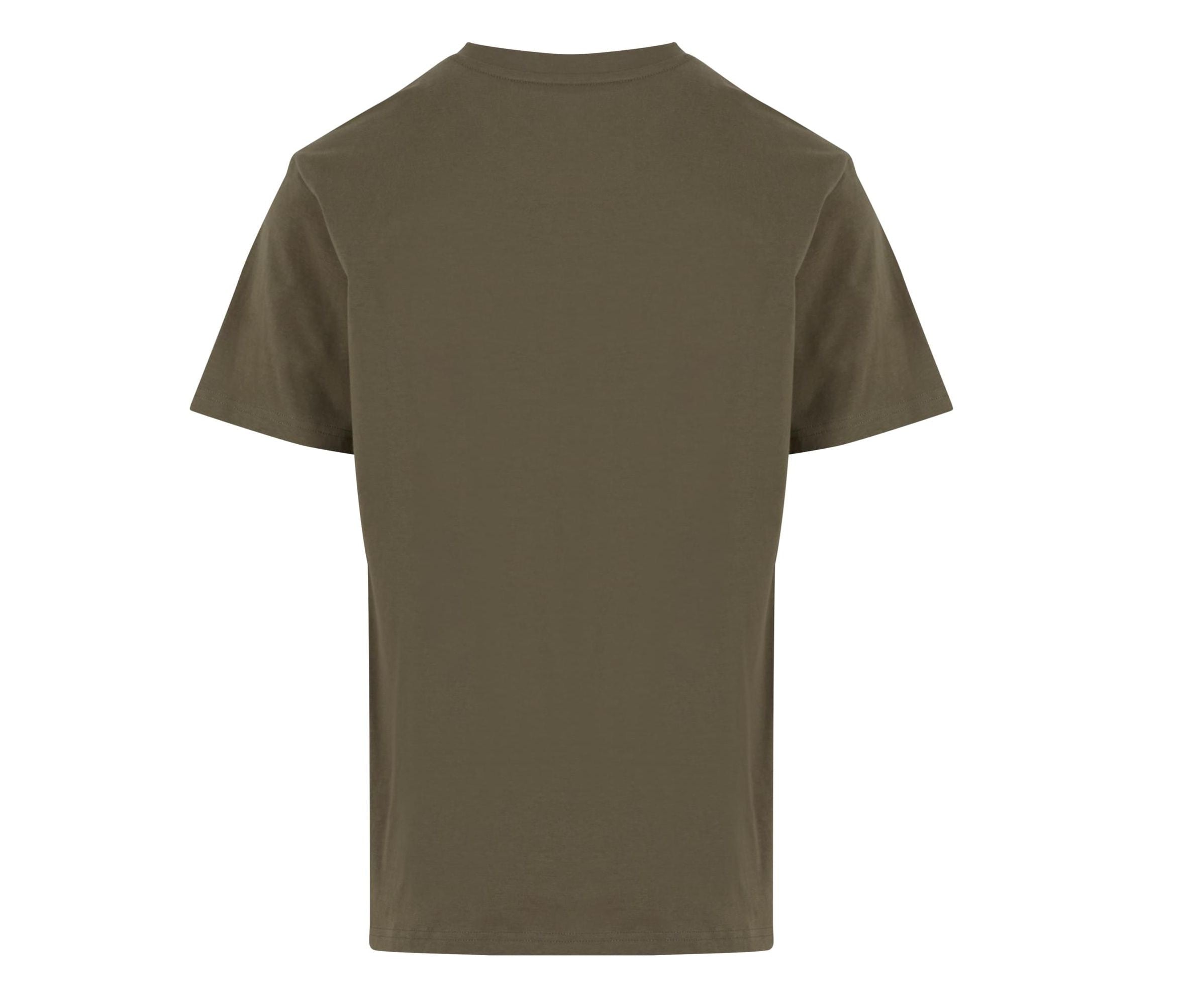 Basic Regular Fit Tee - Olive