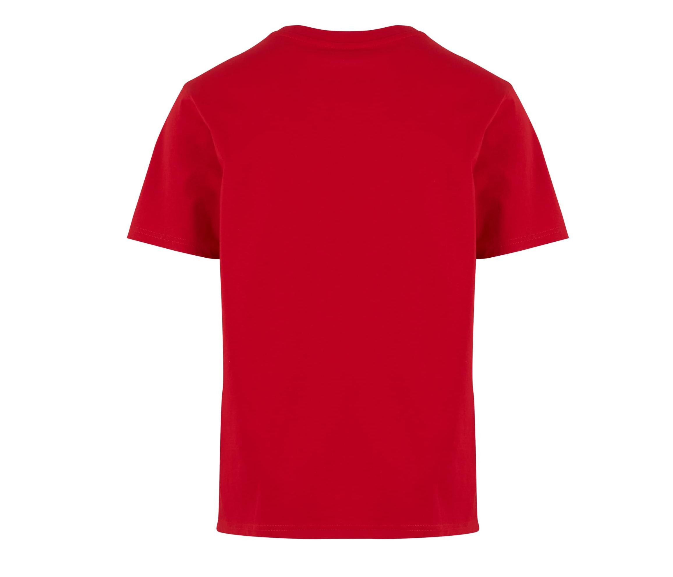 Basic Regular Fit Tee - City Red