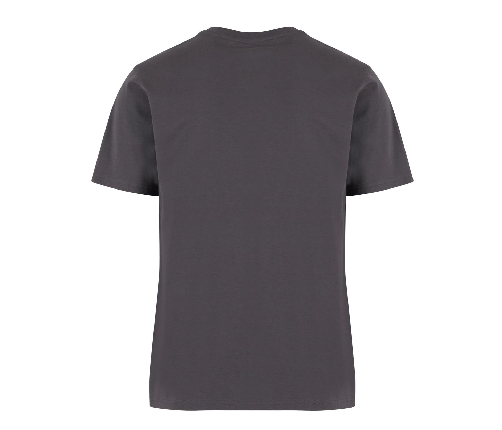 Basic Regular Fit Tee - Magnet