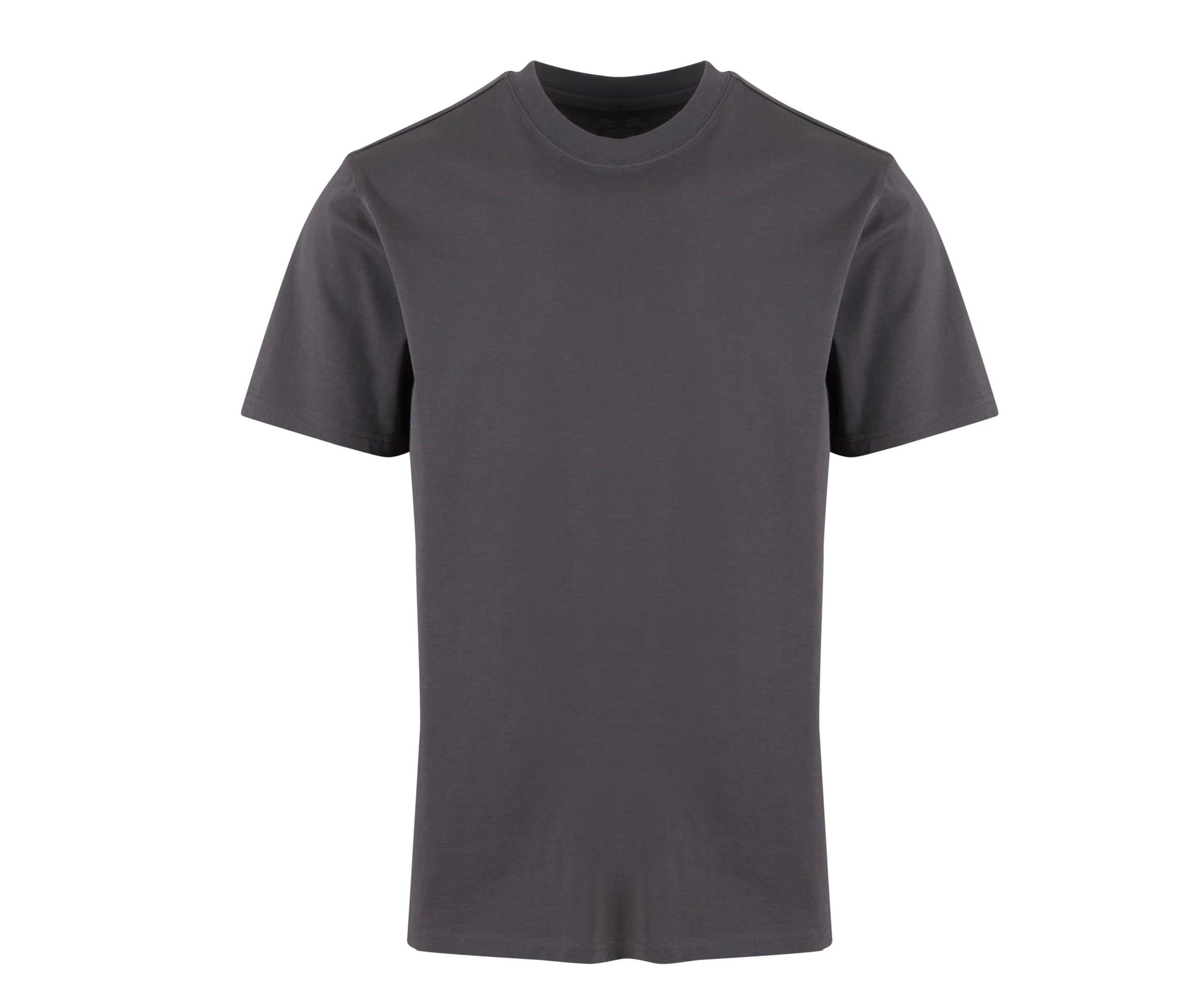 Basic Regular Fit Tee - Magnet