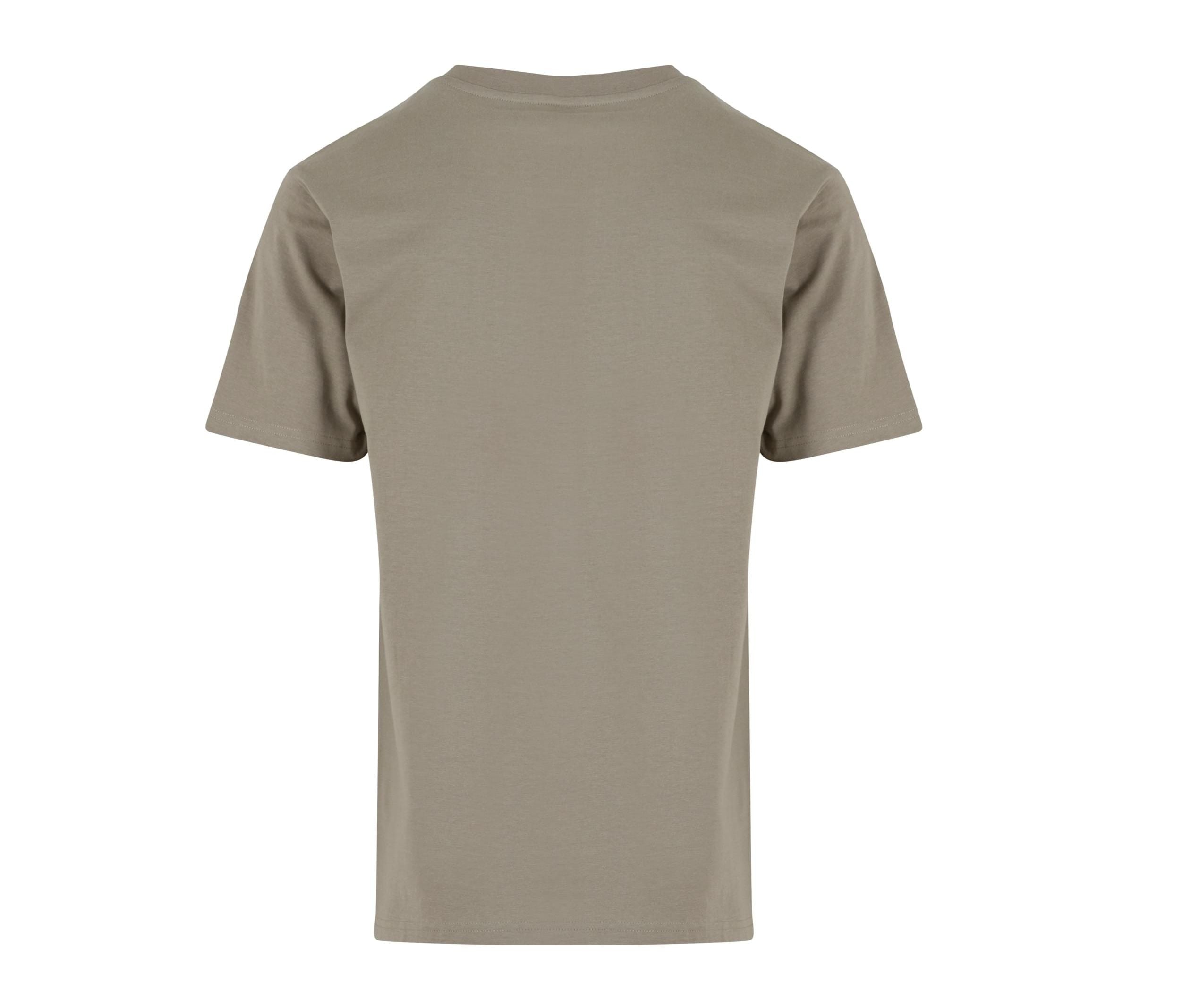 Basic Regular Fit Tee - Pale Olive
