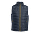 Navy / Gold