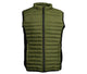 Olive/black