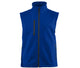 Deep Royal Blue