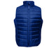 Deep Royal Blue