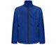 Deep Royal Blue
