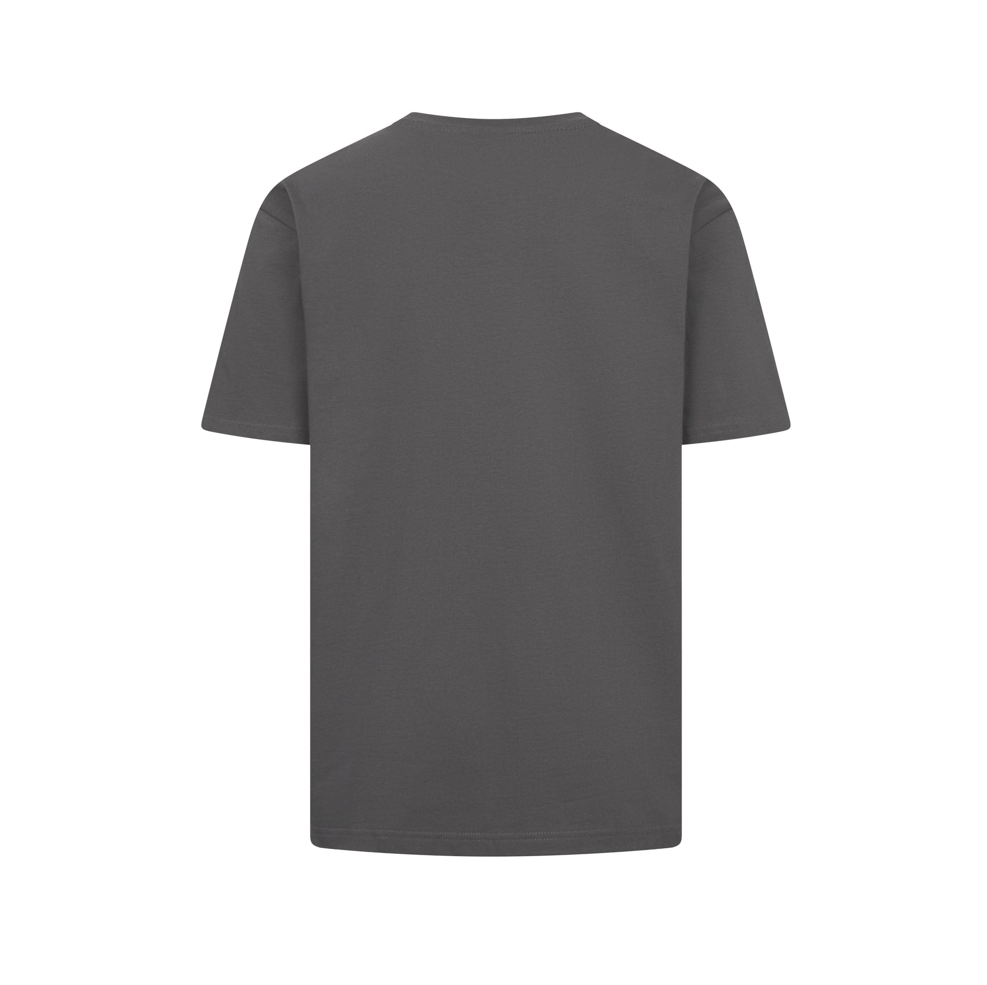 Tee-Shirt Lourd Unisexe - Graphite