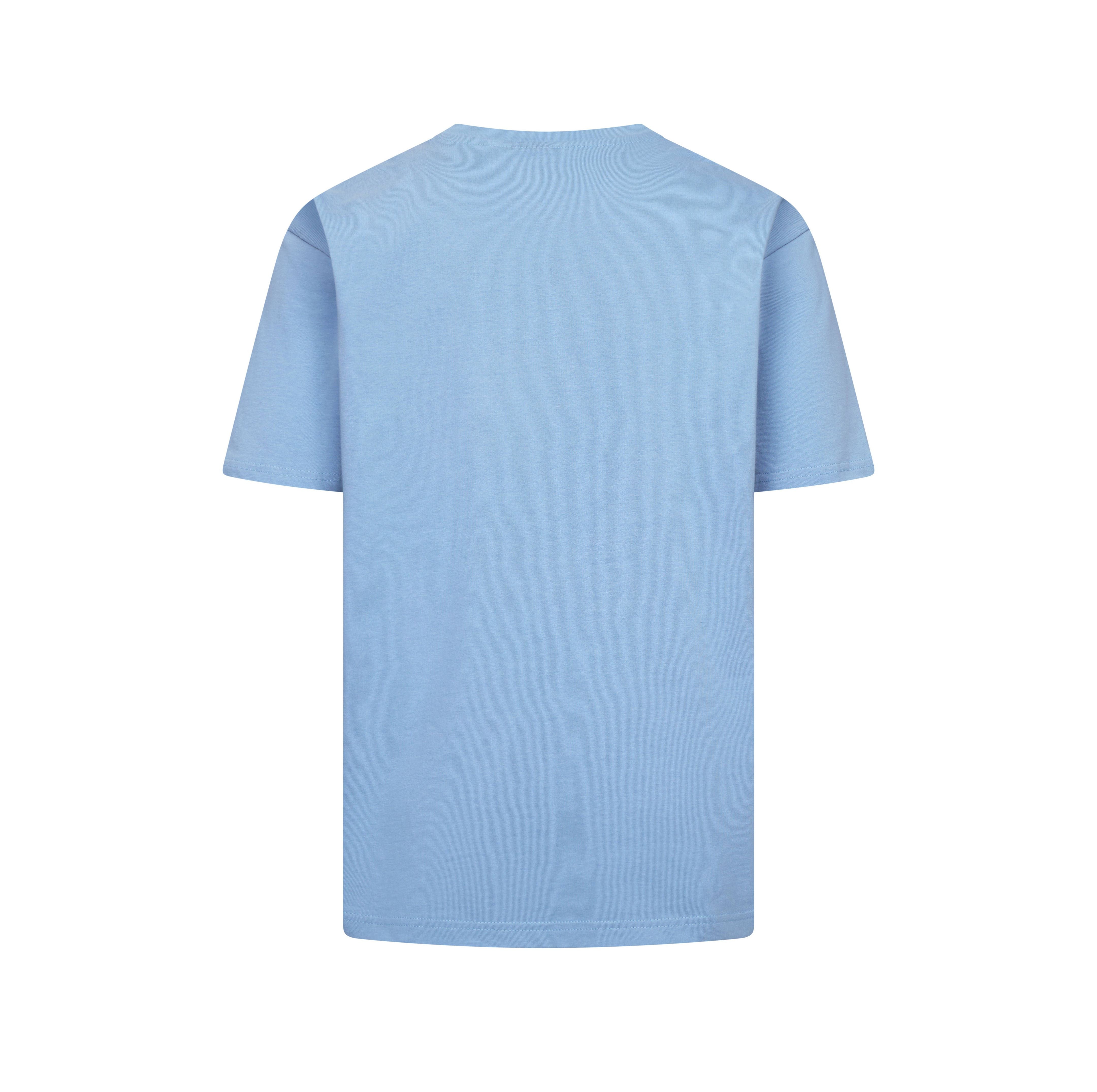 Tee-Shirt Lourd Unisexe - Light Blue