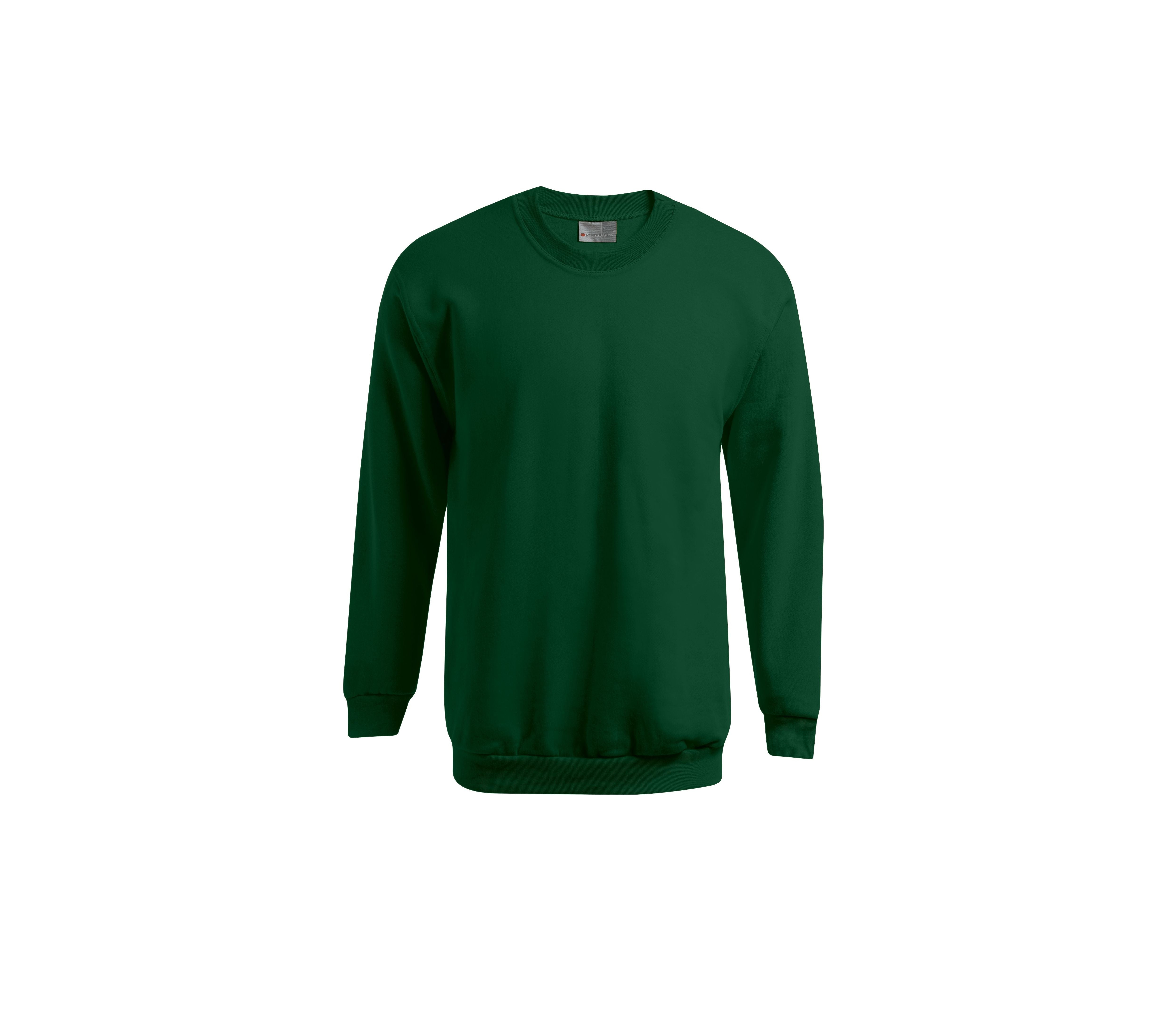 Sweat Homme 320 - Forest