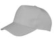 Dove Grey