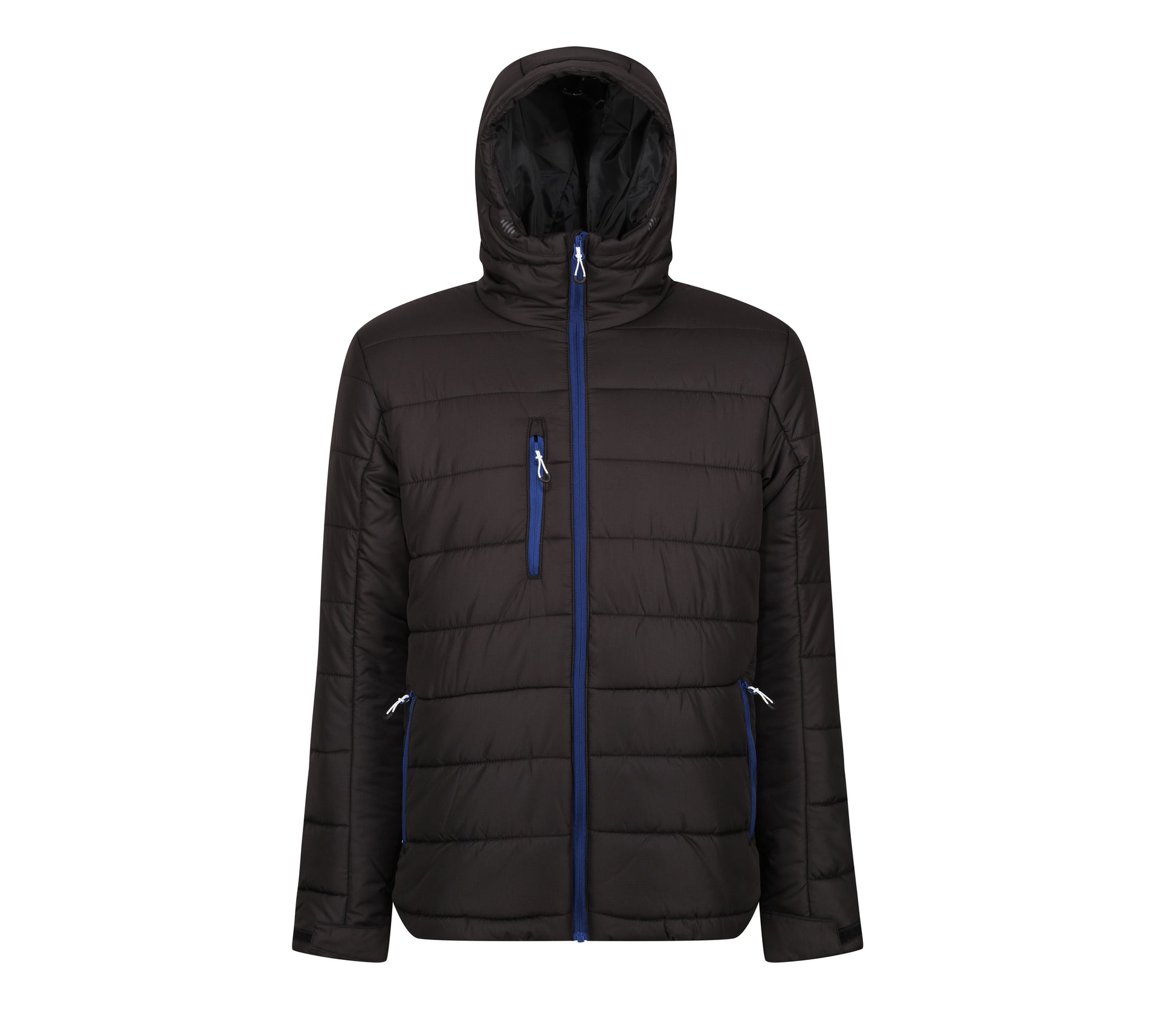 Veste Matelassée - Black / New Royal