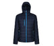 Navy / French Blue