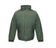 Dark Green / Dark Green