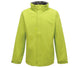 Key Lime/seal Grey