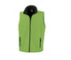 Vivid Green/black