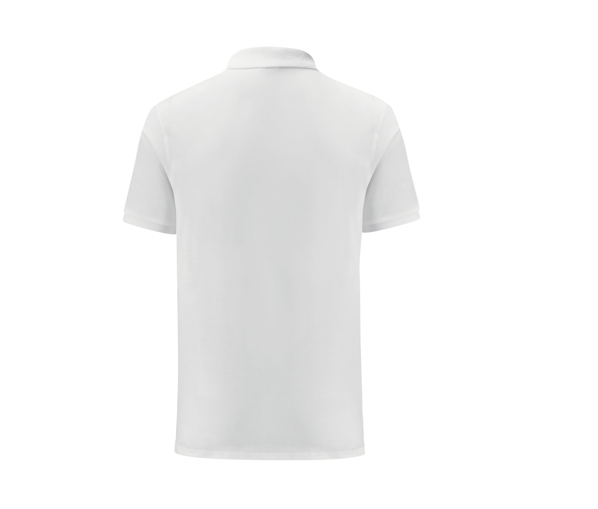 Polo Iconic - White