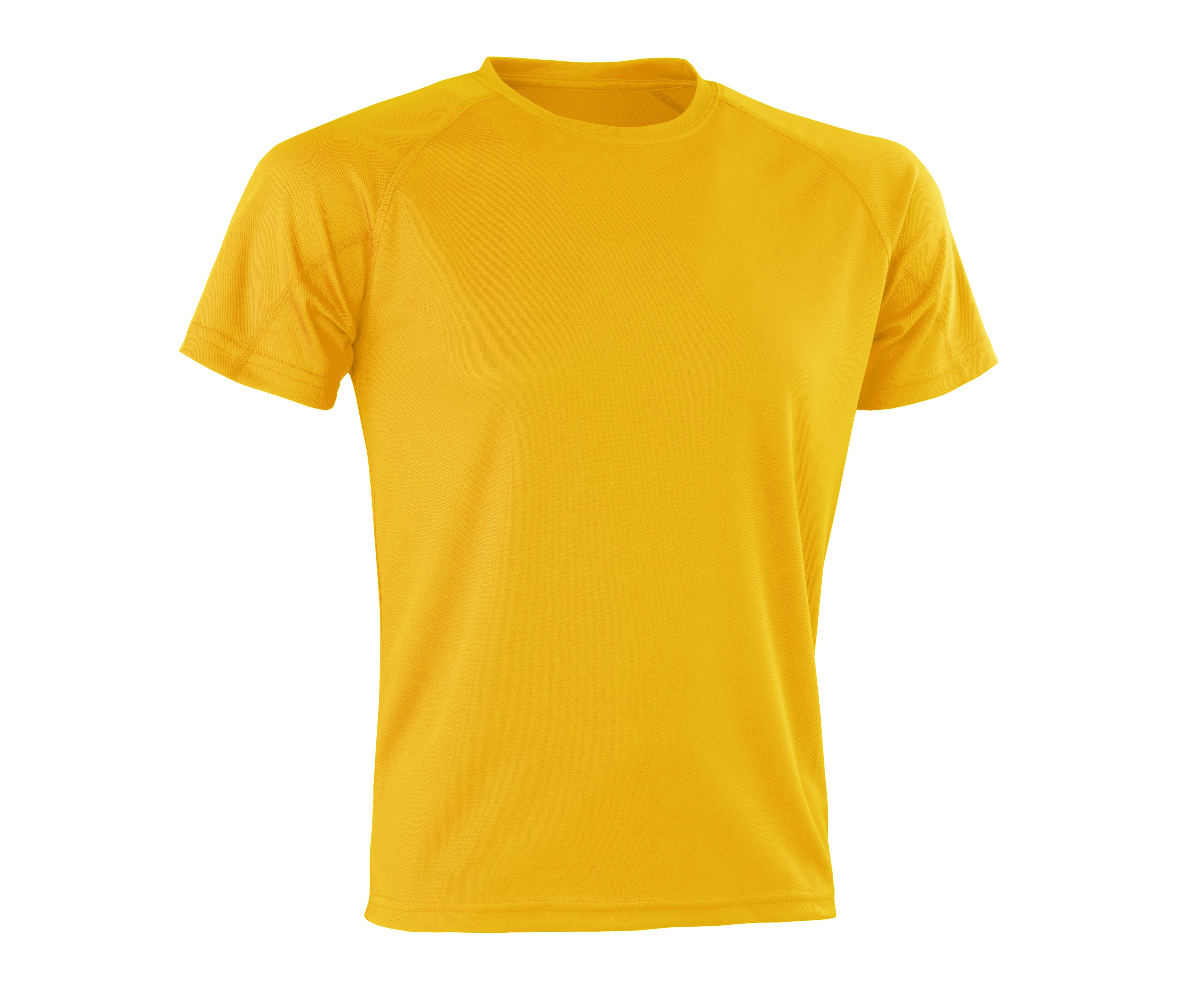 SP287 - Gold