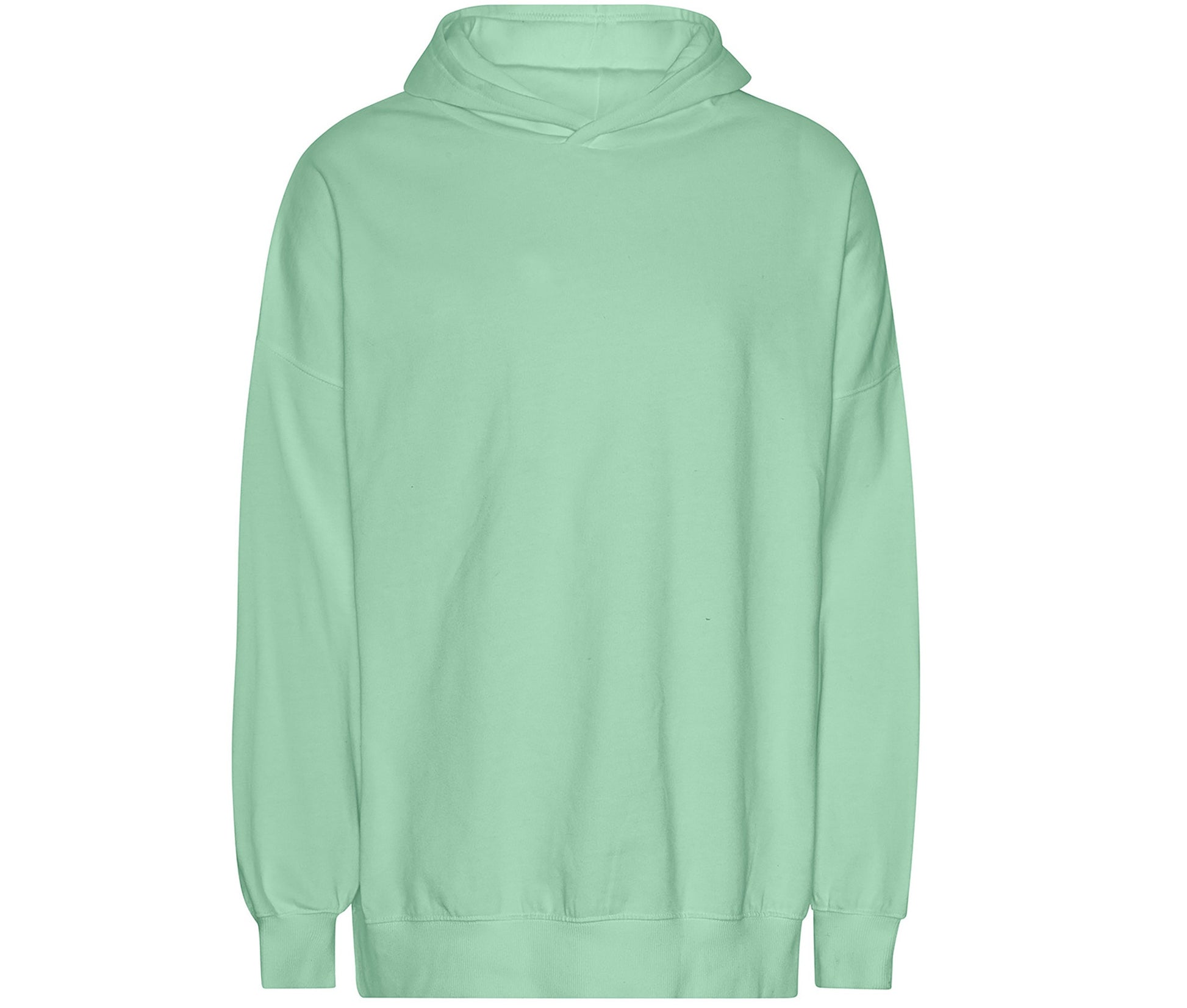 Sweat Coupe Oversize en Coton Tiger - Dusty Mint
