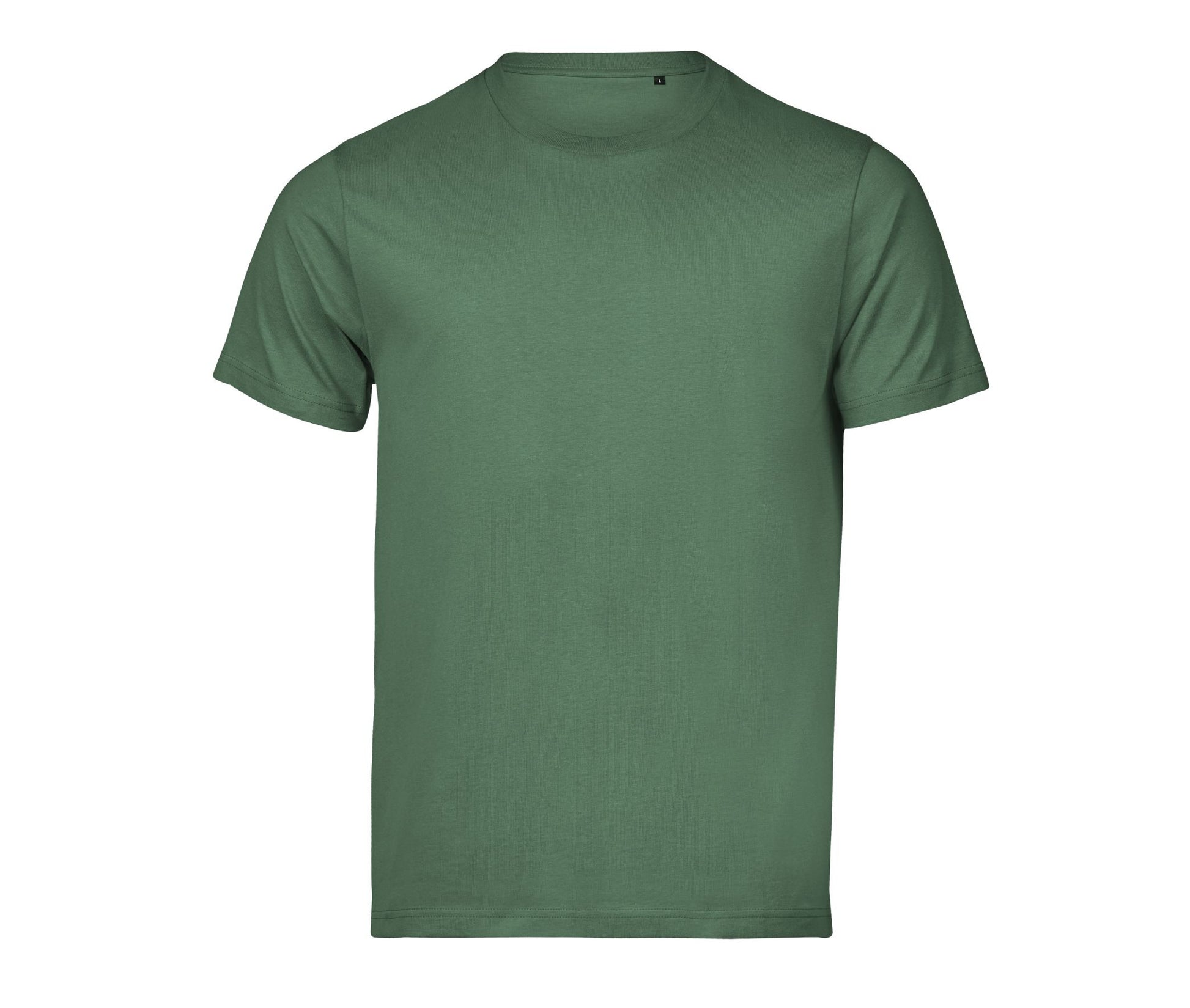 TJ1150 - Cactus
