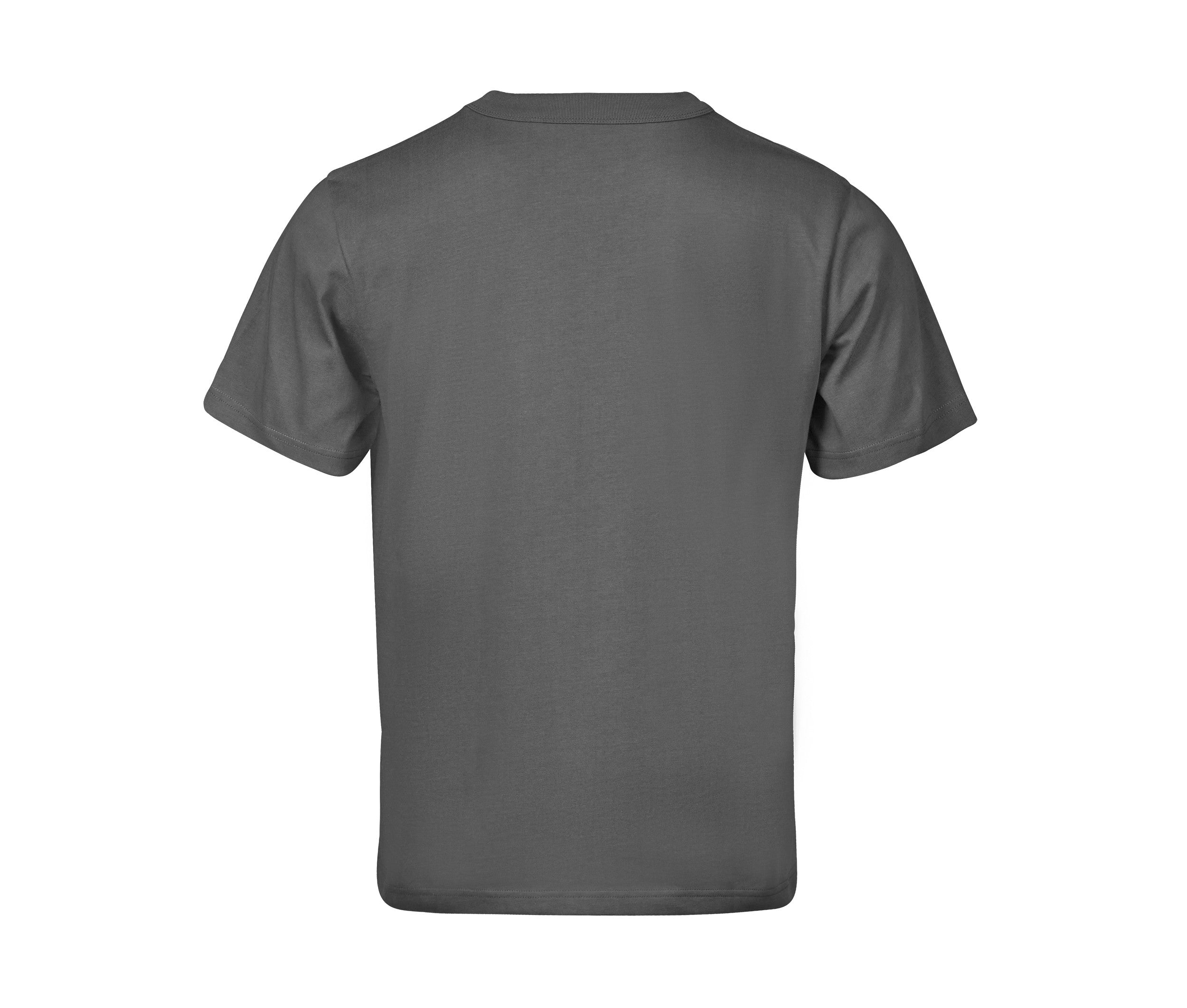 Tee-Shirt Ample 220 - Powder Grey