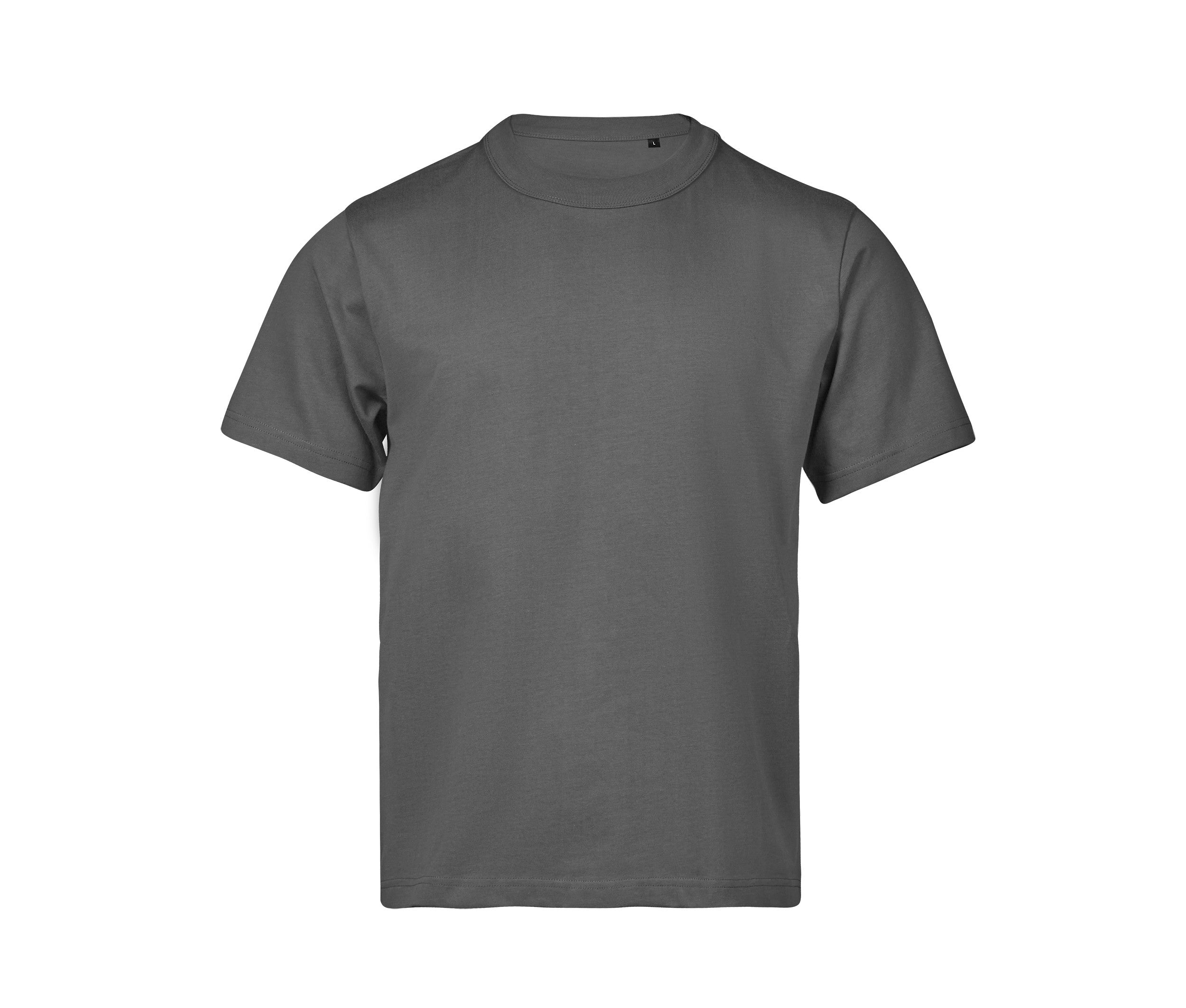 Tee-Shirt Ample 220 - Powder Grey