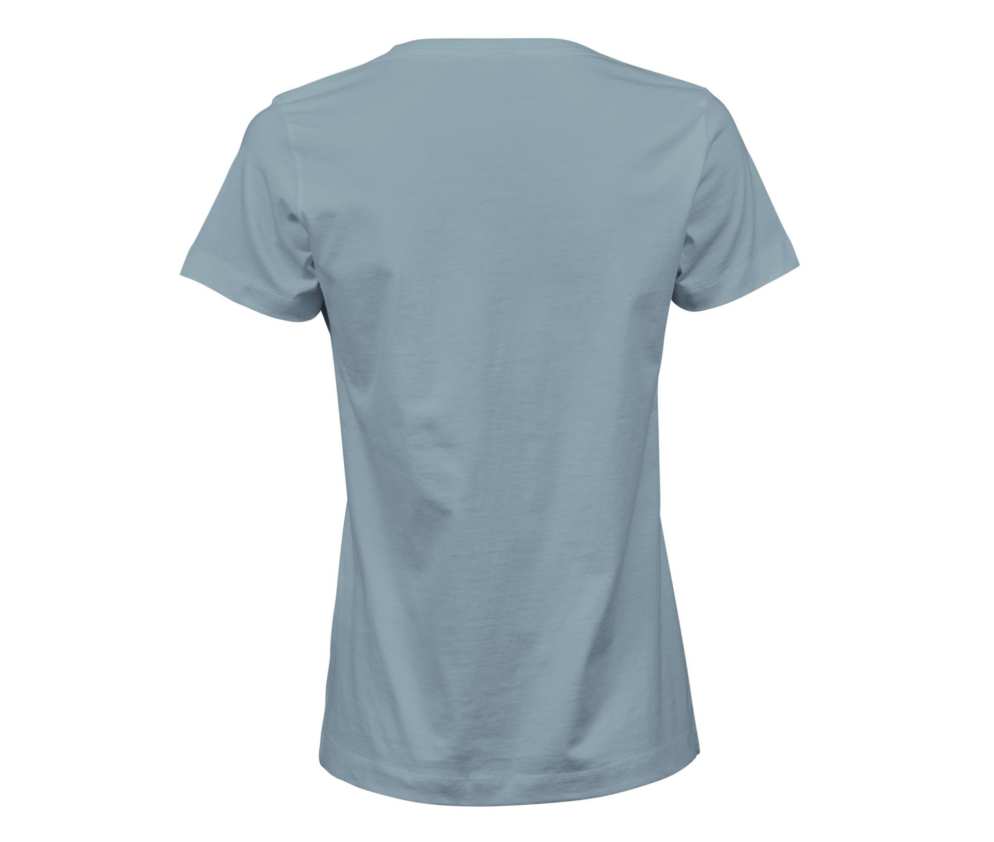 Tee-Shirt Homme - Misty Blue