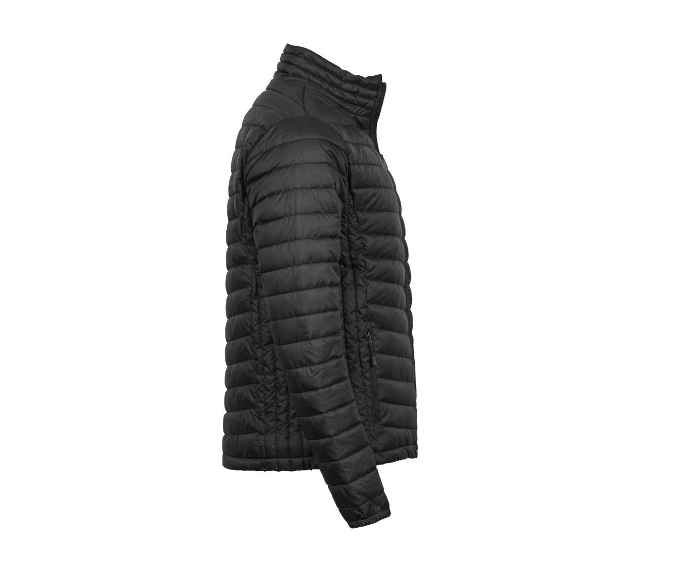 Doudoune Zepelin Homme - Black