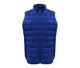 Deep Royal Blue